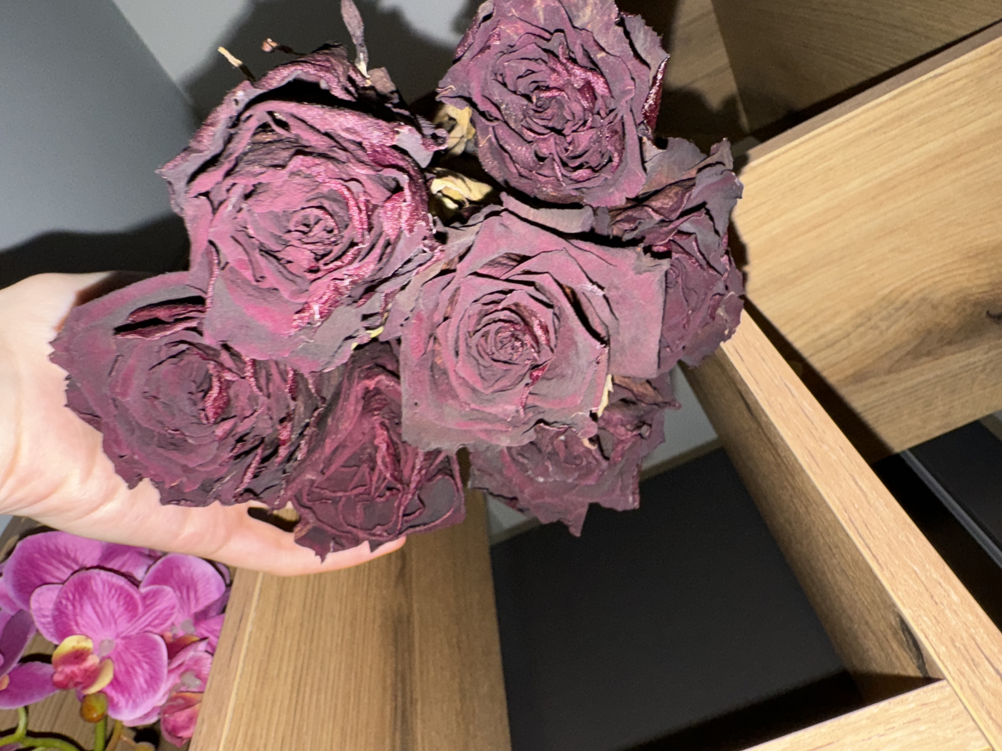 A hand holds a bouquet of dried, dark-purple roses in front of an arrangement of vibrant pink orchids. The background includes a gray wall and a light-brown, wooden, tiered structure. The location is Unknown, Unknown.
