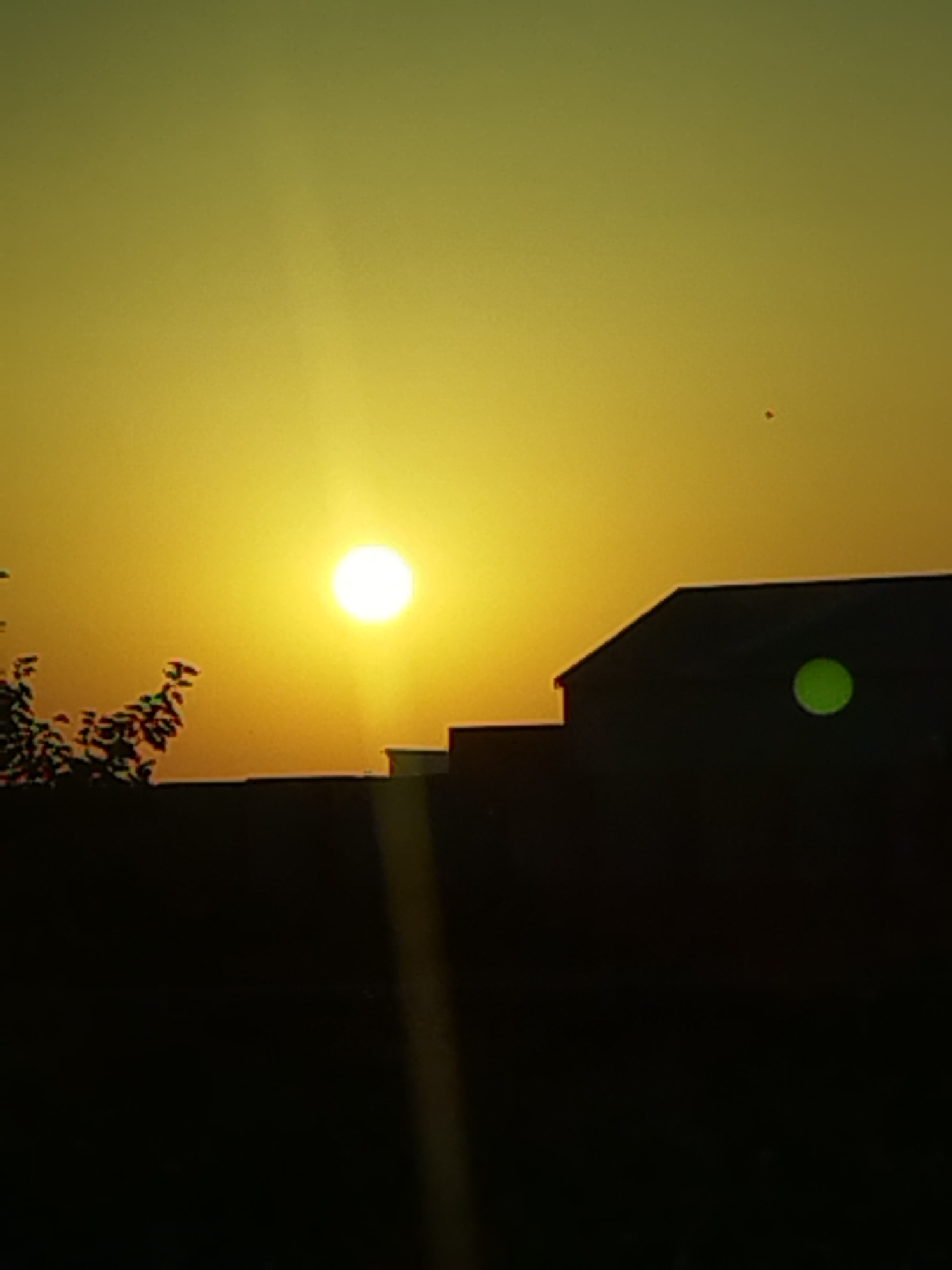 The image captures a sunset scene in Chitila, Romania. The sky is a gradient of yellow and orange, with the sun appearing as a bright, white orb in the left half of the frame. Silhouetted against the sky are the dark shapes of buildings and a wall. A tree with dark foliage is visible on the left side of the image, in front of the wall. A small, reddish object is visible in the upper right portion of the sky, possibly a kite or a bird. A faint green circular light is present on the side of one of the buildings. The overall impression is one of a peaceful evening in a residential area.