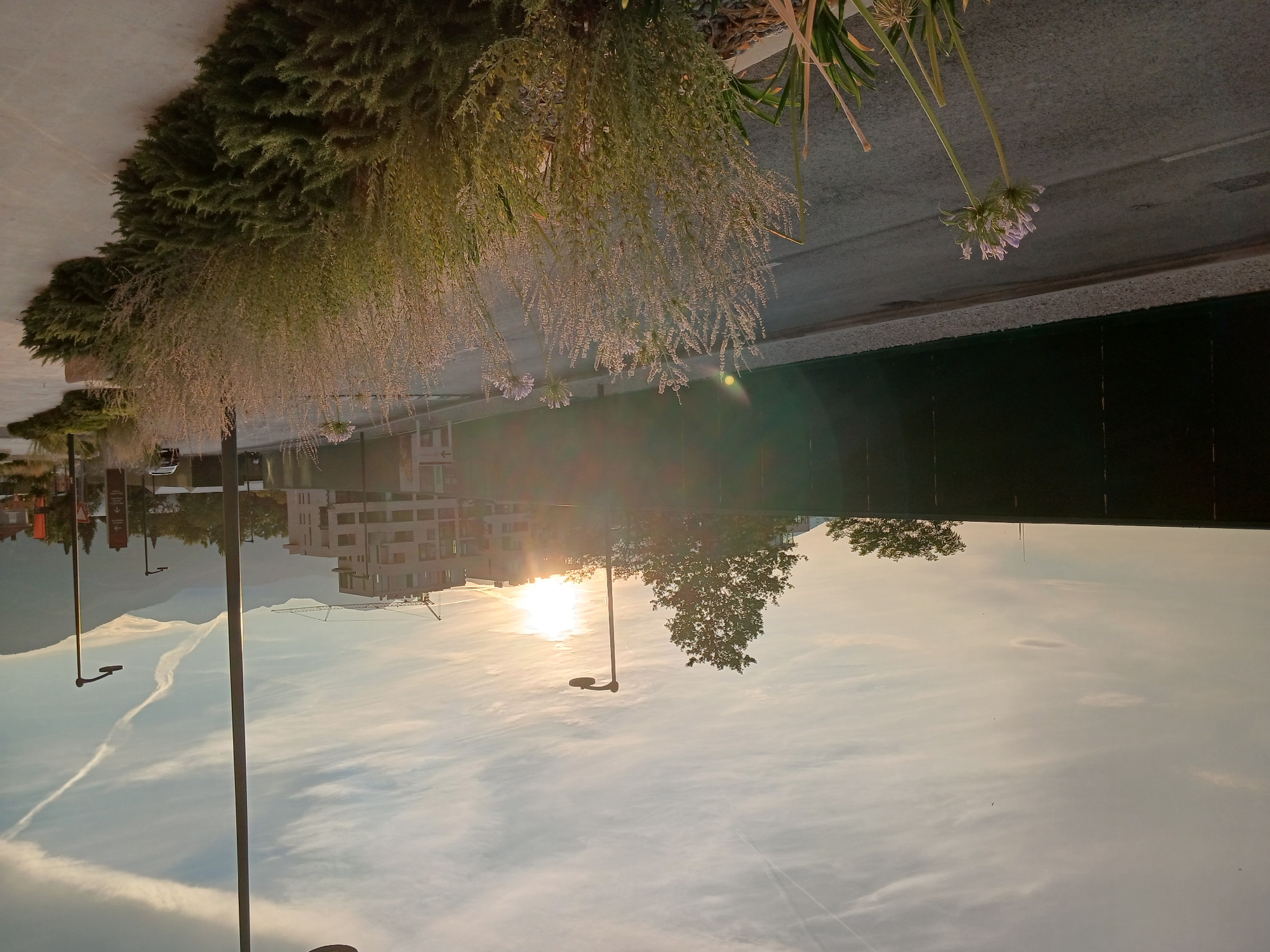 The image depicts an outdoor scene in the city of Unknown, Unknown, during what appears to be late afternoon or early evening. The sky is a mix of light blue and pale orange hues, with scattered clouds and contrails from aircraft. The sun is low on the horizon, casting a warm glow and lens flares across the scene.
In the foreground, a paved walkway runs along the right side of the image, bordered by dense, low-lying green shrubs and taller, feathery plants with delicate purple flowers. To the left of the walkway is a two-lane asphalt road, with one lane visible in the foreground and another receding into the distance.
Beyond the road, a tall, dark green fence stretches across the mid-ground, partially obscuring the view of what lies behind it. A few trees are visible above the fence.
In the background, a multi-story building with a light-colored facade is under construction, with a crane visible above it. Further back, a range of mountains forms the backdrop to the scene. Several streetlights with a modern, minimalist design are positioned along the walkway and road. A car is parked on the far side of the road. The overall impression is of a developing urban area with a natural mountain landscape in the distance.