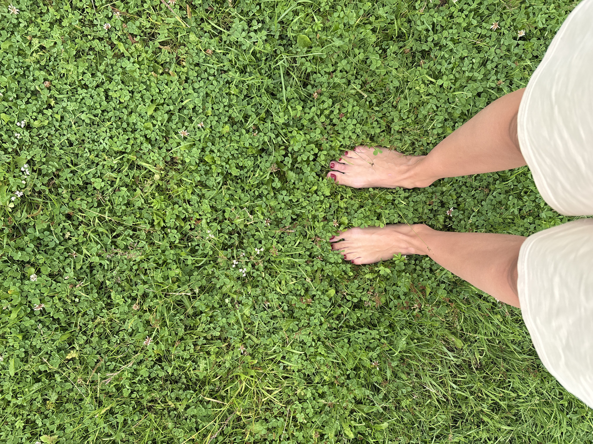 A top-down, full shot captures a pair of bare human feet standing on a dense patch of green grass and clover. The feet are positioned close together, with the toes pointing upwards. The skin of the feet is fair, and the toenails are painted a dark red. The surrounding environment is a thick carpet of vibrant green clover, interspersed with blades of grass and a few small white and pink flowers. The lighting suggests it is daytime, with a slight overcast sky, as there are no harsh shadows. The image does not provide any visual cues to indicate a specific location within the city of Nevon, Russia, or any other identifiable landmark. The focus is solely on the texture and color of the grass and the human feet.