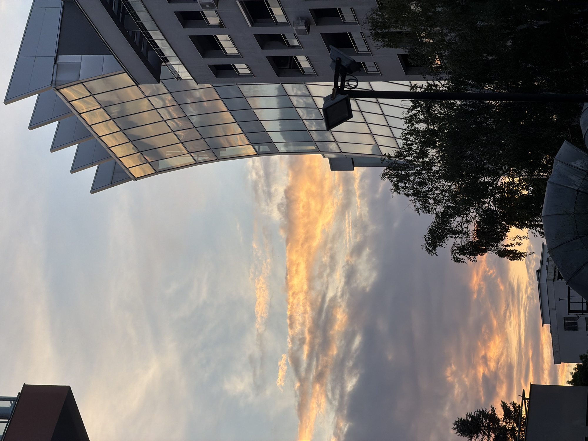 The image captures a sunset over a cityscape, likely in Sofia, Bulgaria, given the architectural style. In the foreground, a modern building with a curved glass facade dominates the right side of the frame. The glass reflects the warm hues of the sunset, creating a shimmering effect. To the right of this building, a gray, multi-story building with balconies and visible air conditioning units is visible. A lamppost stands in front of the glass building, partially obscuring the lower portion of its facade. Dark silhouettes of trees, including a birch tree with drooping branches, are situated in the lower half of the image. The sky displays a dramatic sunset with streaks of orange, pink, and gray clouds against a pale blue background. In the upper left corner, a sliver of another building, dark red on the exterior, is visible. The lower left part of the image shows the edge of another building and a tall, dark evergreen tree. The overall scene suggests an urban environment at dusk, with the natural beauty of the sunset contrasting with the man-made structures.