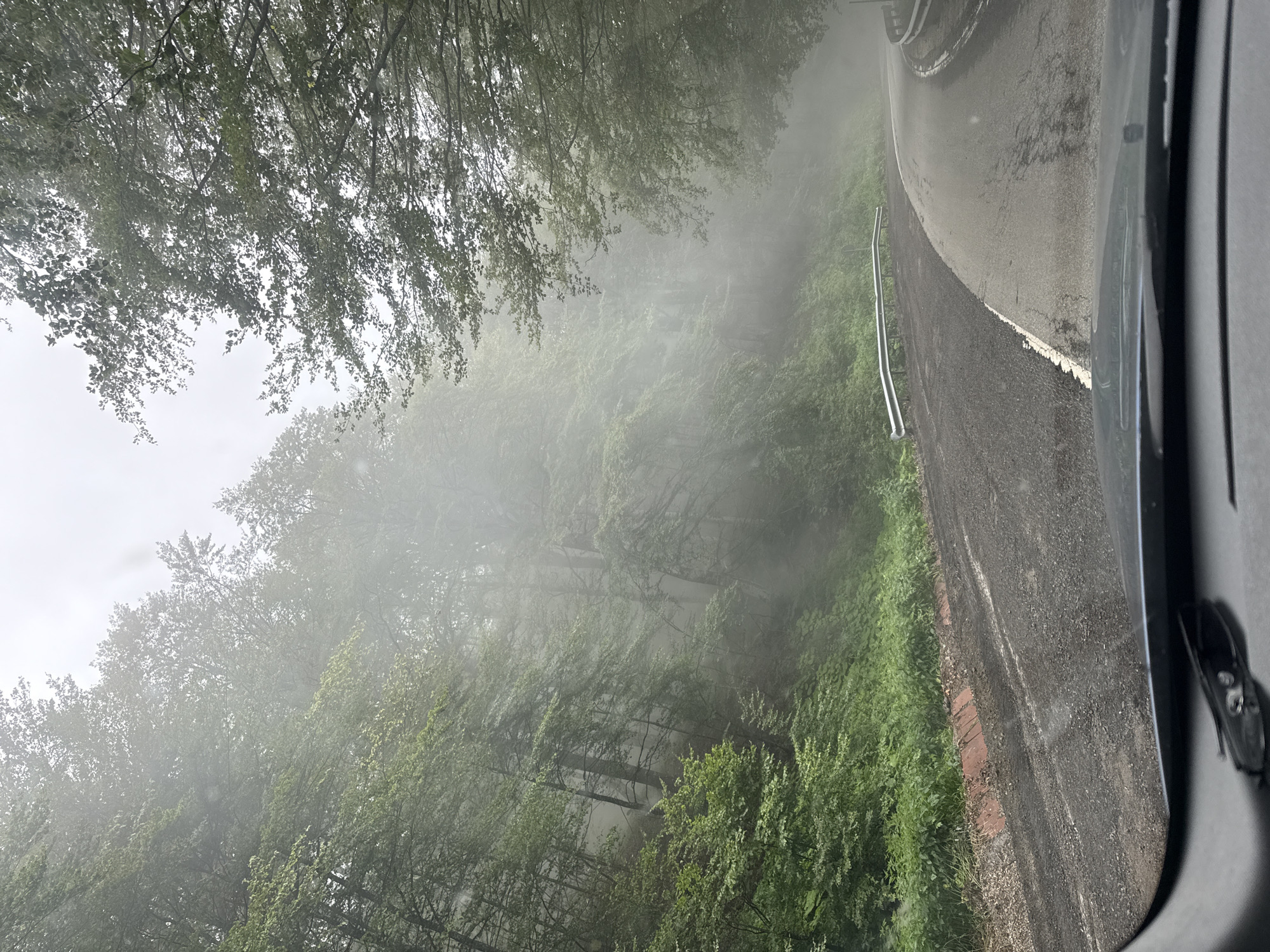 The image captures a view from a vehicle traveling on a winding asphalt road through a dense, foggy forest. The road is wet and appears to be gravel and asphalt. On the left side of the road, a steep, vegetated embankment rises, lined with a metal guardrail. Lush green foliage covers the embankment. On the right side, trees with dense green leaves line the road, their branches extending over the asphalt. The fog is thick, obscuring the background and creating a sense of depth and mystery within the forest. The sky is overcast and a pale gray, contributing to the muted color palette of the scene. The overall impression is one of a secluded, atmospheric journey through a natural landscape.