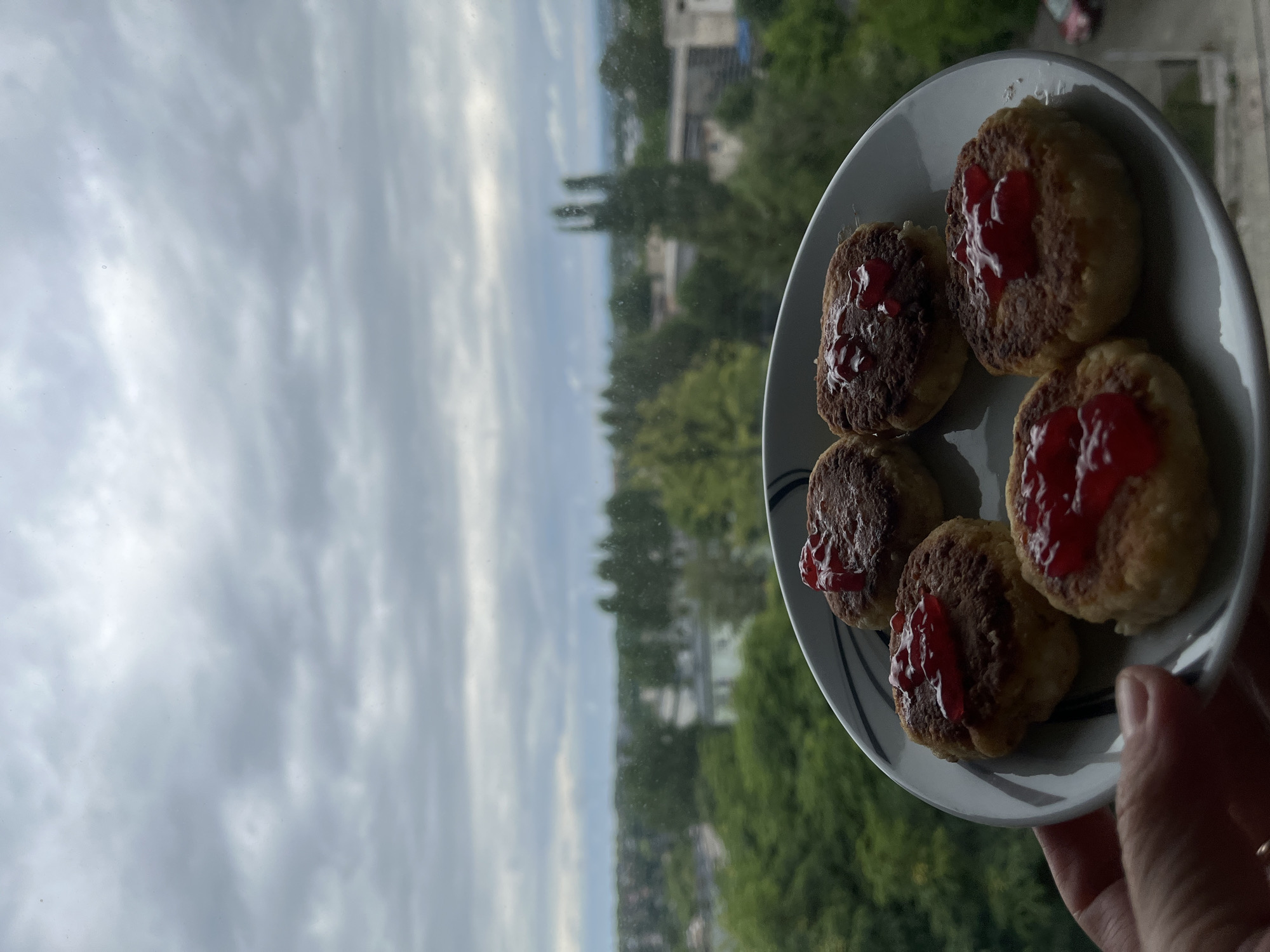 A plate of five cheese fritters, each topped with a dollop of red jam, is held by a person's hand in the foreground. The plate has a white background with dark gray rim accents. The fritters are round and golden brown. Behind the plate, a panoramic view of a city is visible through a window. The city features numerous trees, buildings, and a cloudy sky. The perspective is from a high vantage point, suggesting the photo was taken from an apartment or a tall building.