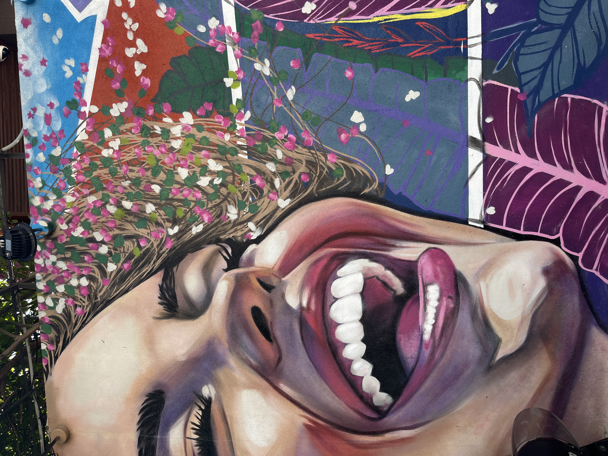 The image shows a close-up section of a mural on a wall. The focal point is a hyperrealistic portrayal of a woman's face, tilted upwards with eyes closed, and mouth wide open in a laugh or shout, revealing teeth and tongue. Her hair is adorned with pink and white flowers. The background consists of abstract colorful patterns and shapes, including depictions of flowers and leaves in shades of blue, green, red, and pink. The mural appears to be located outdoors. While specific locations in Đà Nẵng are not evident from the image, it can be described as mural art commonly found in urban public spaces in that city.