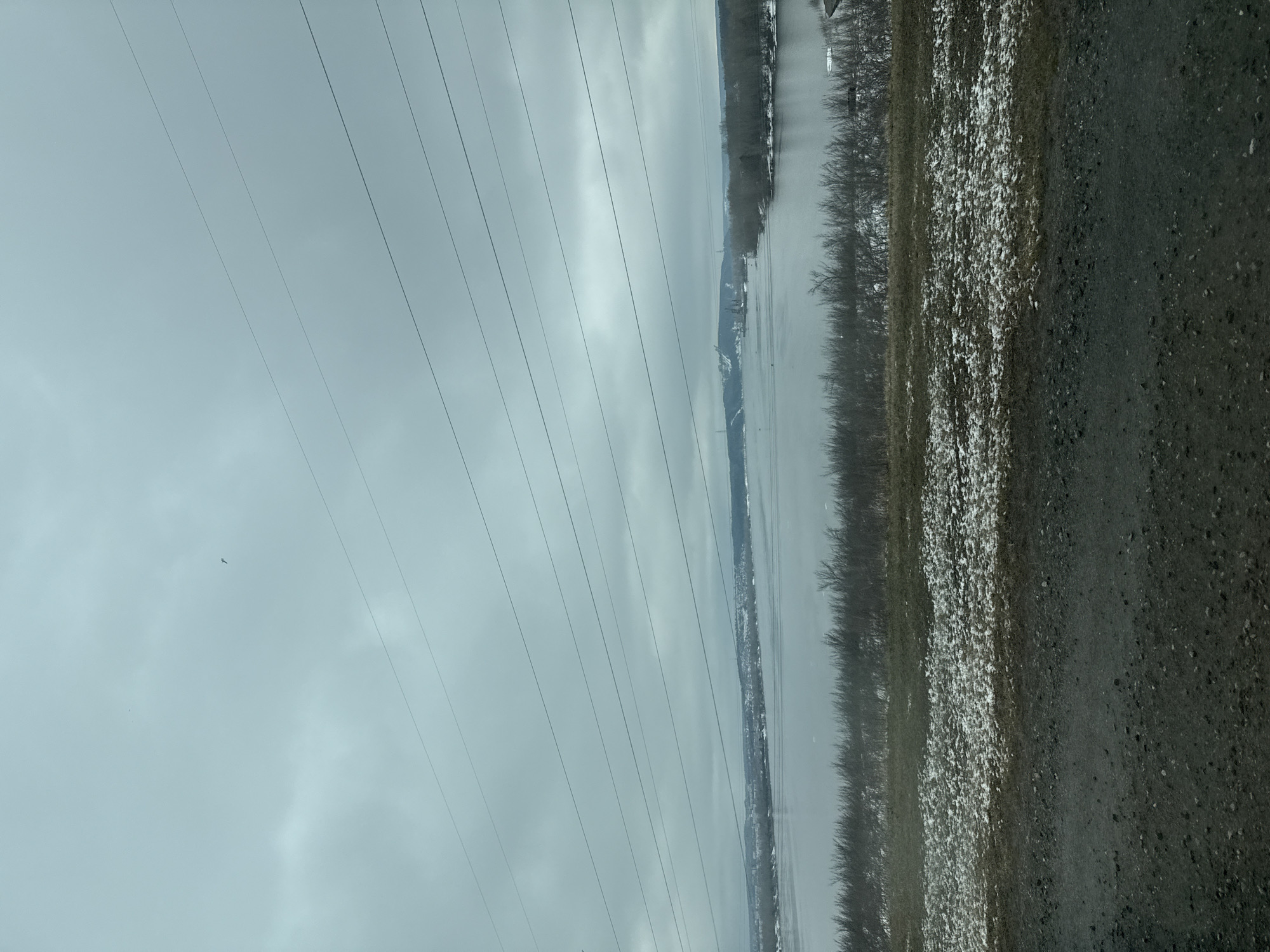 The image presents a view of the Kama River in Chaikovsky, Russia. A line of utility poles and wires stretches across the frame, obstructing the sky. A narrow strip of land bordering the river is visible, lightly dusted with snow. A gray, overcast sky dominates the scene. A paved road occupies the foreground on the right side of the image.