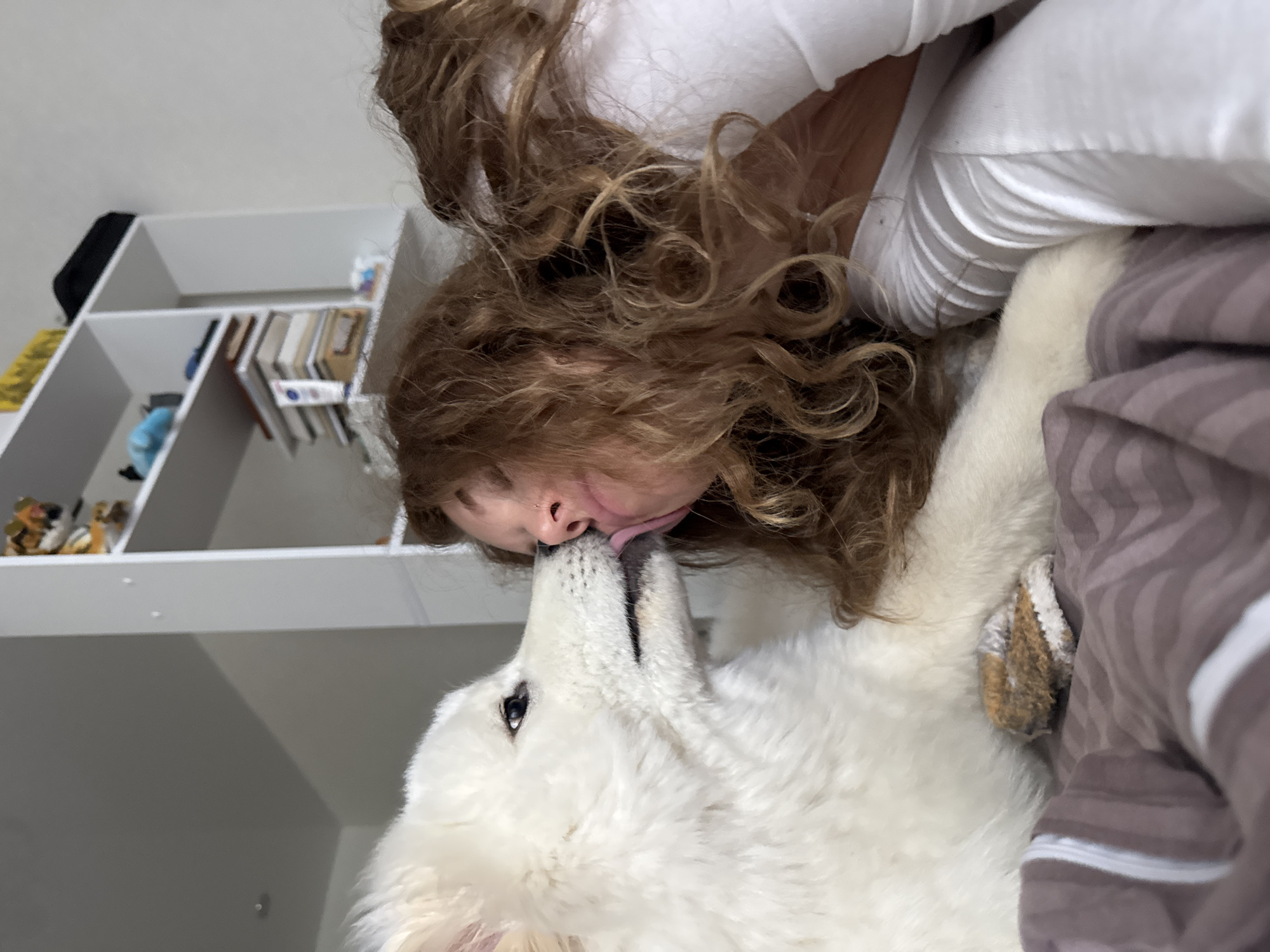 A woman is lying in a bed with a white, fluffy dog. The dog is licking the woman's face. The woman has long, curly hair. They appear to be indoors, perhaps in a bedroom. A bookshelf is visible in the background. This scene appears to have been captured in a home, although the specific location in Chaikovsky, Russia is not deducible from the image.