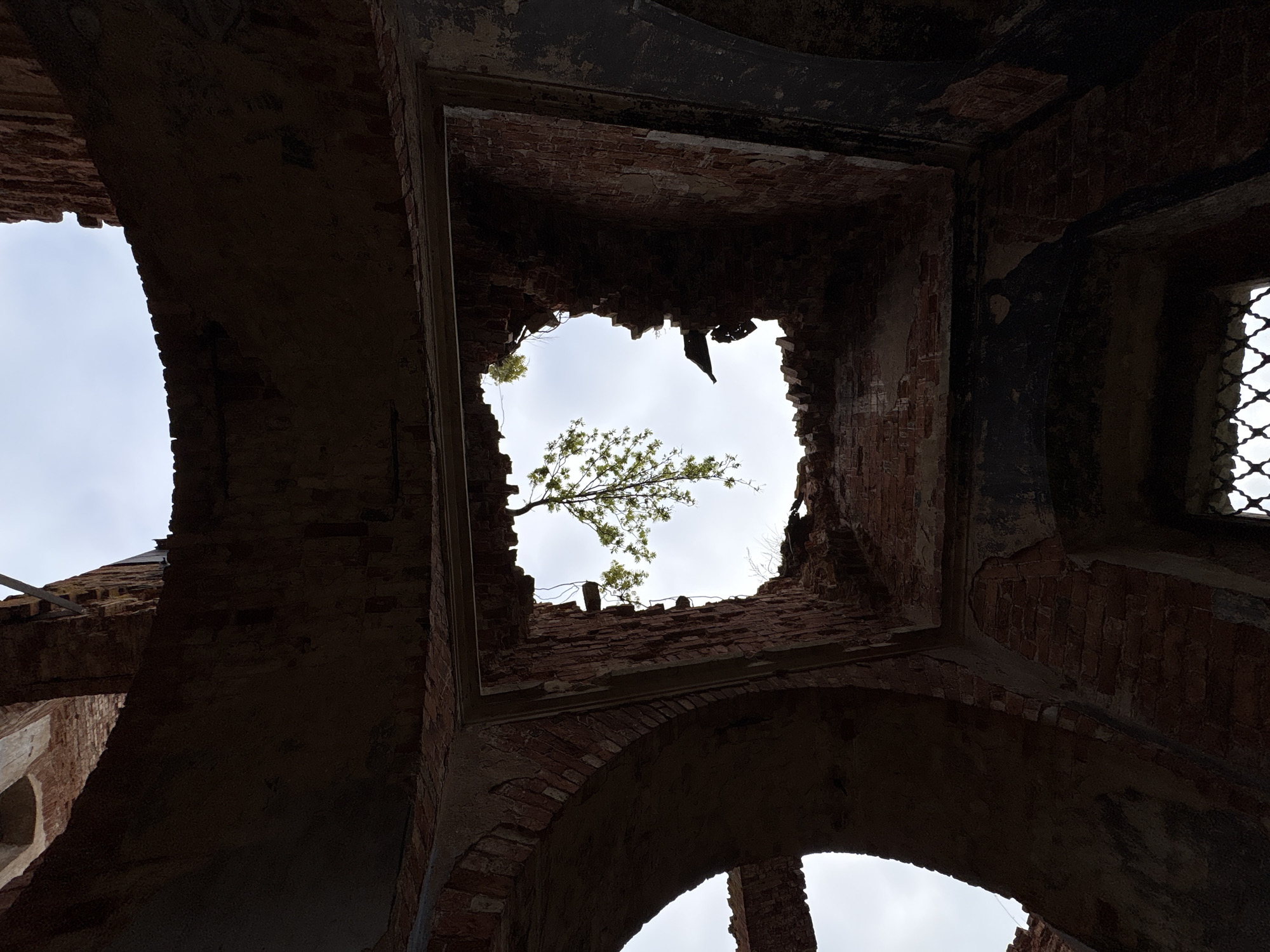The image captures an upward view from within a large, ruined brick structure, likely the interior of a dilapidated building or an abandoned edifice in Staroe Rakomo, Russia. The perspective looks towards the ceiling, which has largely collapsed.
The dominant subjects are the heavy brickwork, primarily in deep shadow, forming arches and the remnants of a ceiling, and the bright, overcast sky visible through large openings. The brick walls exhibit signs of significant decay, with crumbling edges and exposed mortar.
Central to the composition is a large, irregular hole in what was once the roof or upper ceiling. Through this opening, a small tree or large bush with green leaves and branches is prominently seen, growing within or near the structure and reaching towards the sky, symbolizing nature's resilience.
Several shadowed archways are visible in the lower parts of the frame, framing glimpses of the outside world or other sections of the ruin. In the upper right, a faint lattice or grate pattern can be observed against the brighter background, possibly indicating a former window opening.
The scene depicts a static moment of decay and natural reclamation. The bright, diffuse light suggests it is daytime under cloudy or overcast skies, as no direct sunlight is visible. There are no people, no discernible activity, and no visible text in the image. The overall atmosphere evokes a sense of abandonment and historical significance.