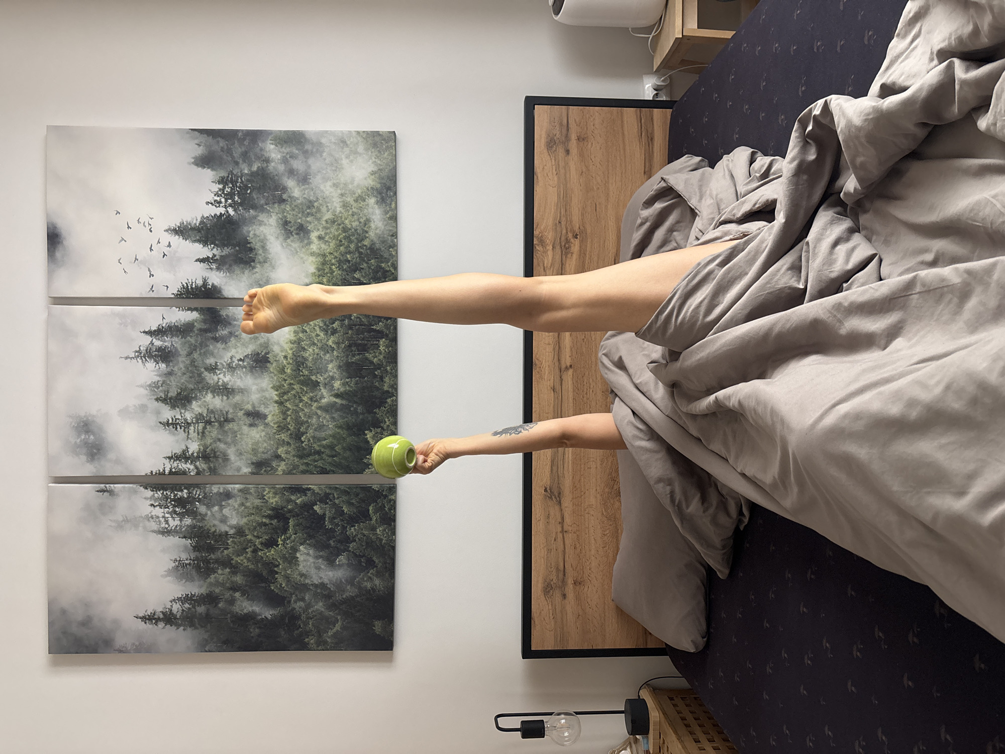 A person is in bed in a room. A leg extends from under gray covers, ending in a foot near a three-panel picture of a forest landscape with flying birds. An arm extends from the covers, holding a green cup. The bed has a wooden headboard with a black border. The bed is on a mattress with a black cover with a pattern of light-colored birds or leaves. There is a nightstand next to the bed. A black lamp is on a shelf by the bed. The walls are white. The city location of Chaikovsky, Russia cannot be determined from the visual data provided.