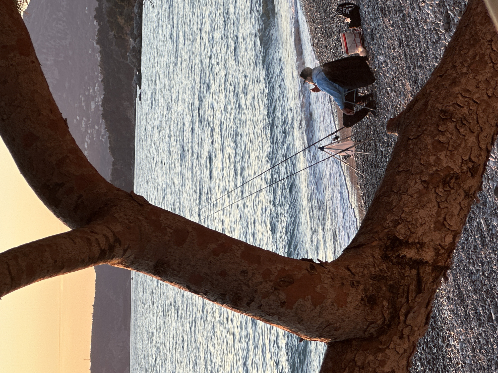 A person is fishing on a pebble beach in Bar, Montenegro, with the horizon visible in the background through the branches of a tree in the foreground. The person is seated on a small chair and has two fishing rods set up. Fishing gear, including a bag and box, are visible near the person. The sea stretches out behind the fisherman, while the land rises up in the distance along the horizon. The setting appears to be during the late afternoon or early evening based on the light.