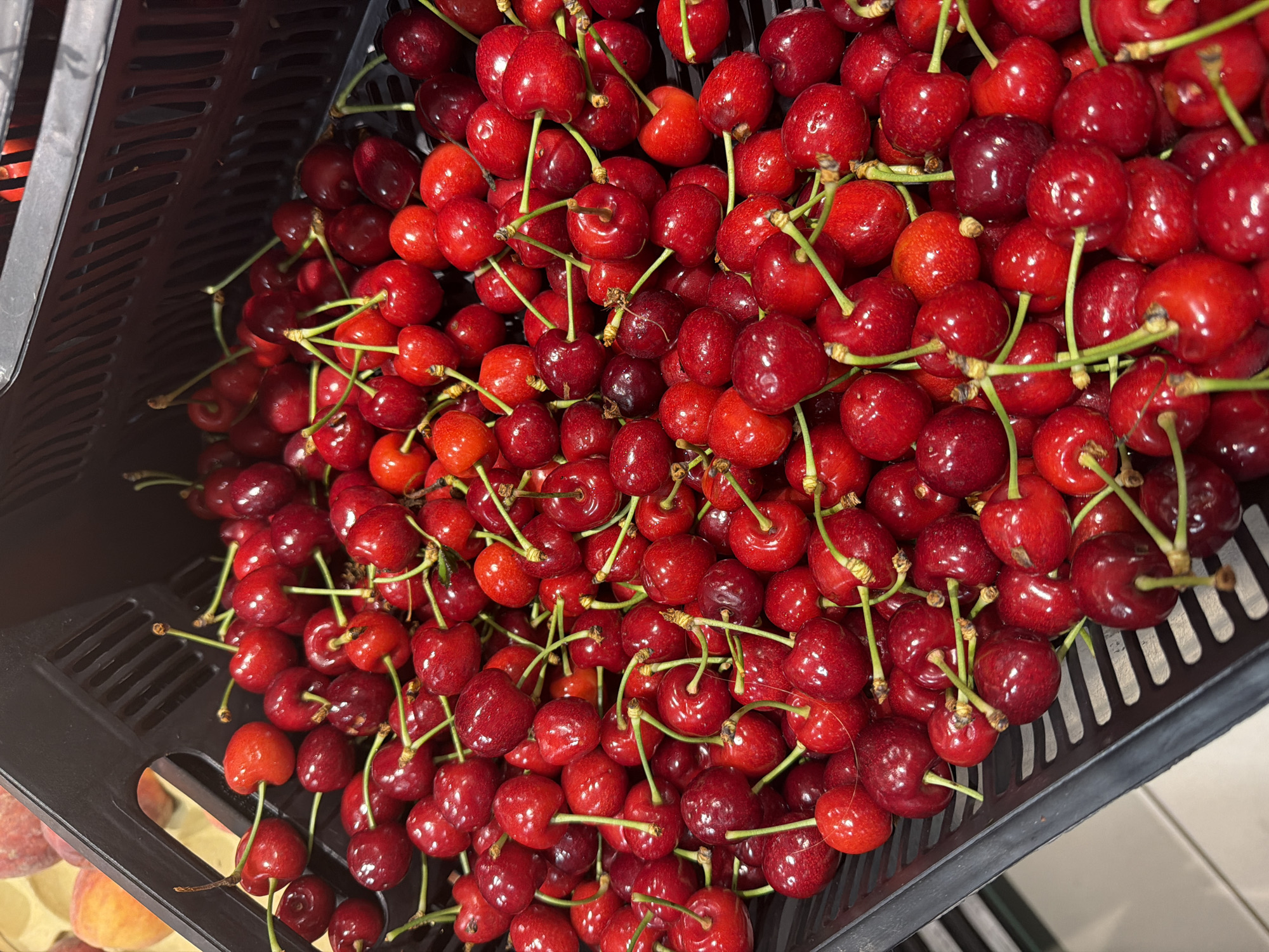 A black, slotted plastic crate is filled to the brim with numerous ripe red cherries, observed from a high-angle, close-up perspective. The cherries vary in color from bright red to a deeper, rich burgundy, and many retain their attached green stems, some individually and others in small clusters. The crate features a grid-like pattern of horizontal and vertical slits. In the upper left background, out of focus, several peach-colored fruits are partially visible within an adjacent container. A glimpse of a light-colored surface, possibly a floor or countertop, is discernible in the lower left of the frame. The scene presents a static display of fresh produce within a commercial environment in the city of Krustkalni, Latvia. No individuals are present.
