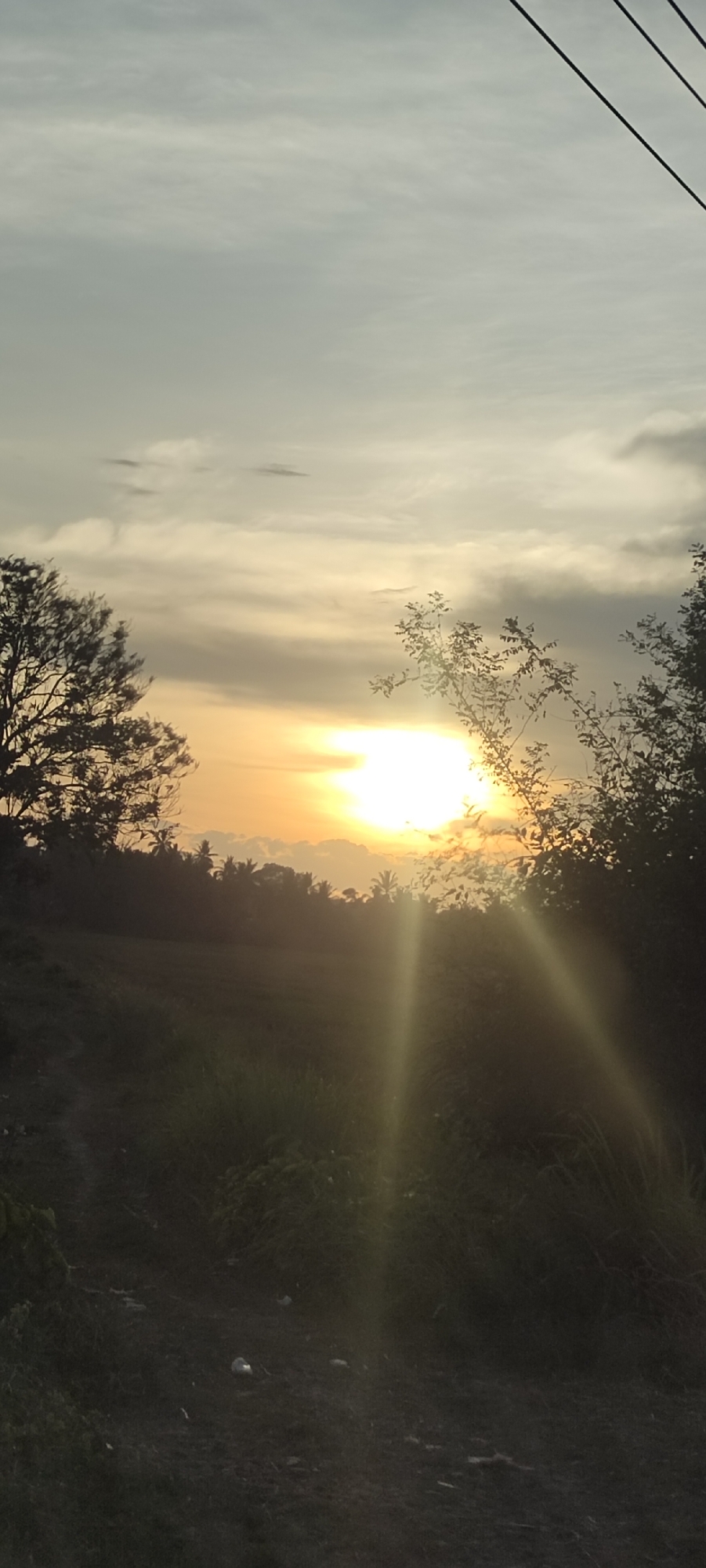 The image captures a sunset scene near Cotentung, Indonesia. The sun is partially obscured by clouds and vegetation, emitting rays of light. In the foreground, silhouetted foliage and trees frame the view, with a dark, indistinct ground area. Utility wires are visible in the upper right corner. The background reveals more trees and a flat, open area, possibly a field. The overall atmosphere is muted, with soft, diffused light.