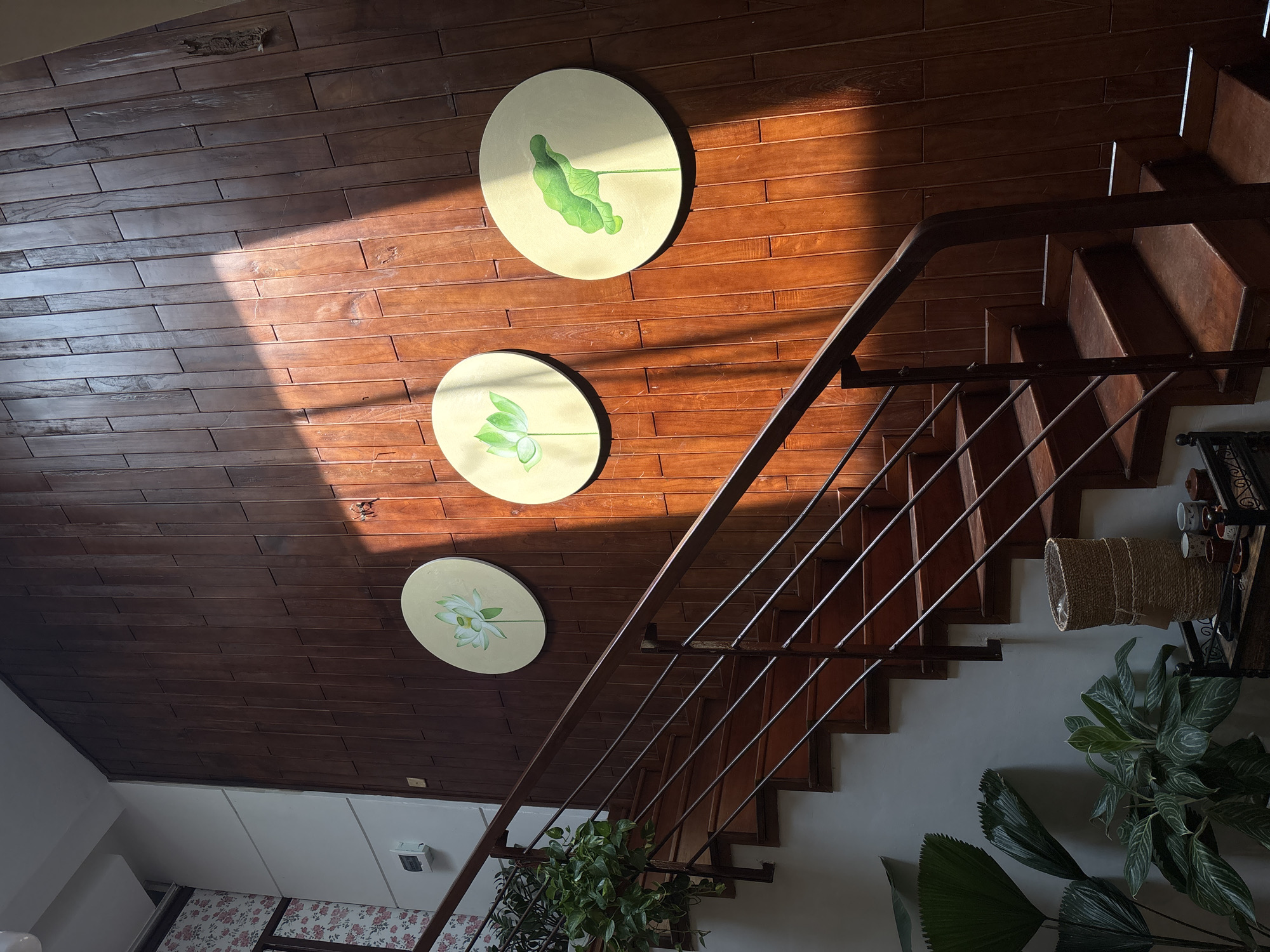 The image depicts an interior in Đà Nẵng, Vietnam, featuring a wooden wall with three circular paintings of lotus leaves. A wooden staircase with a metal railing runs diagonally across the frame. Sunlight streams onto the wall and staircase. Plants are visible at the base of the stairs, including an Aglaonema and a palm. On the upper landing of the stairs, there is a woven basket and an array of cups or small containers. The lower wall area is white.
