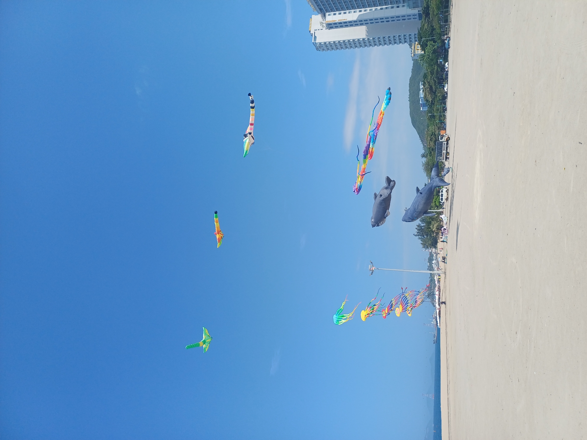 The image depicts a bright, sunny day at a beach in Nha Trang, Vietnam, with a clear blue sky overhead. Several colorful kites are flying, including a green bird-shaped kite, a yellow and red airplane-shaped kite, a long, segmented rainbow kite, two multi-colored jellyfish kites, and two large grey whale-shaped kites. The beach is sandy and appears to be mostly empty, with a few people visible in the distance. Beyond the beach, there is a body of water with a few boats, and in the background, there are tall buildings, including a white high-rise hotel, and lush green hills. The overall scene suggests a recreational activity on a typical day in a coastal city.