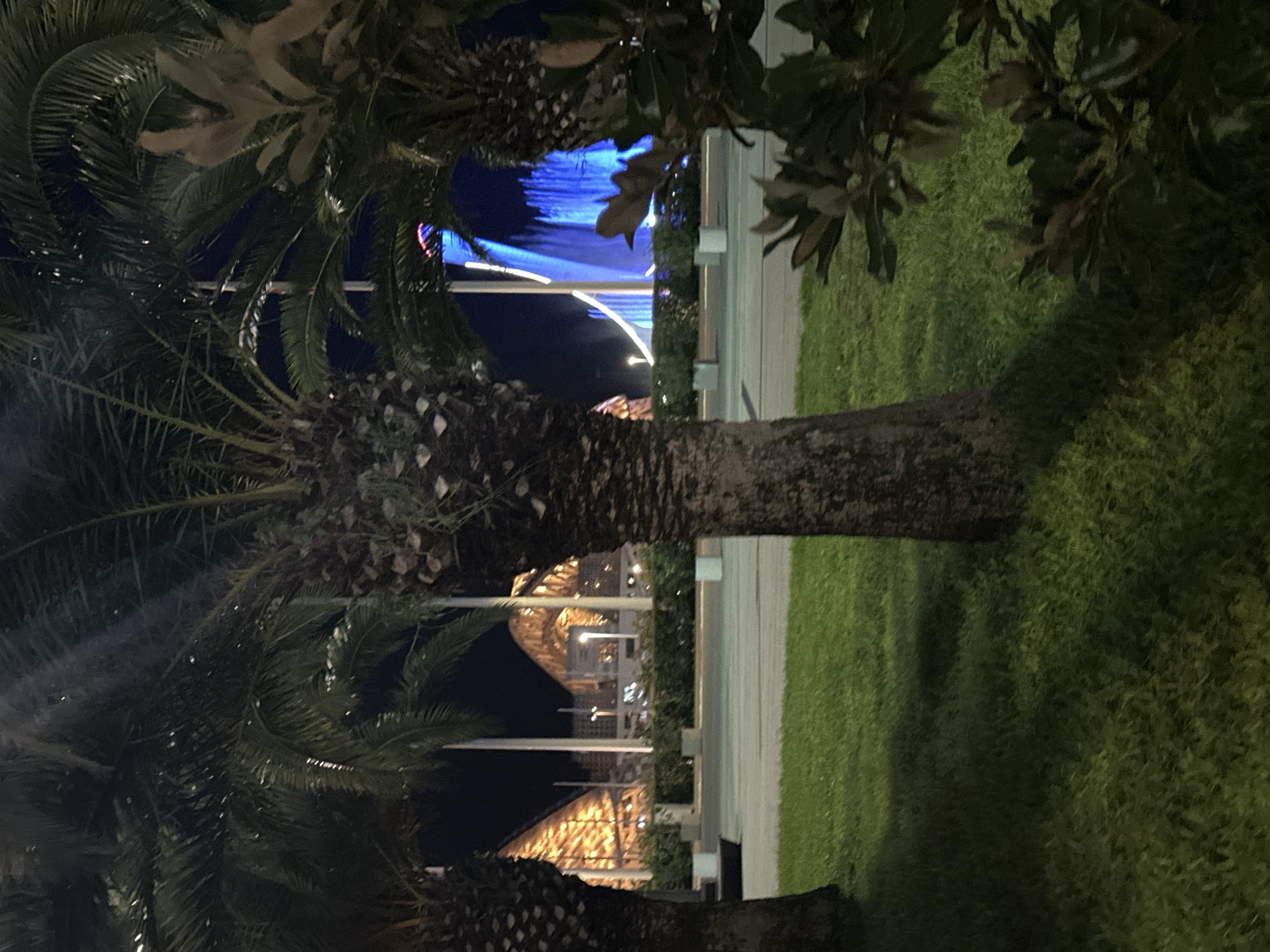The image depicts a nighttime scene in Sochi, Russia, featuring palm trees in the foreground and a brightly lit fountain in the background. The fountain, illuminated with vibrant blue lights, appears to be a prominent water feature. Behind the fountain, there are structures with illuminated, geometric roofs, likely part of a complex or stadium. The scene is set in an urban environment with streetlights and manicured greenery, including a grassy area in the foreground. There are no people visible in the image.