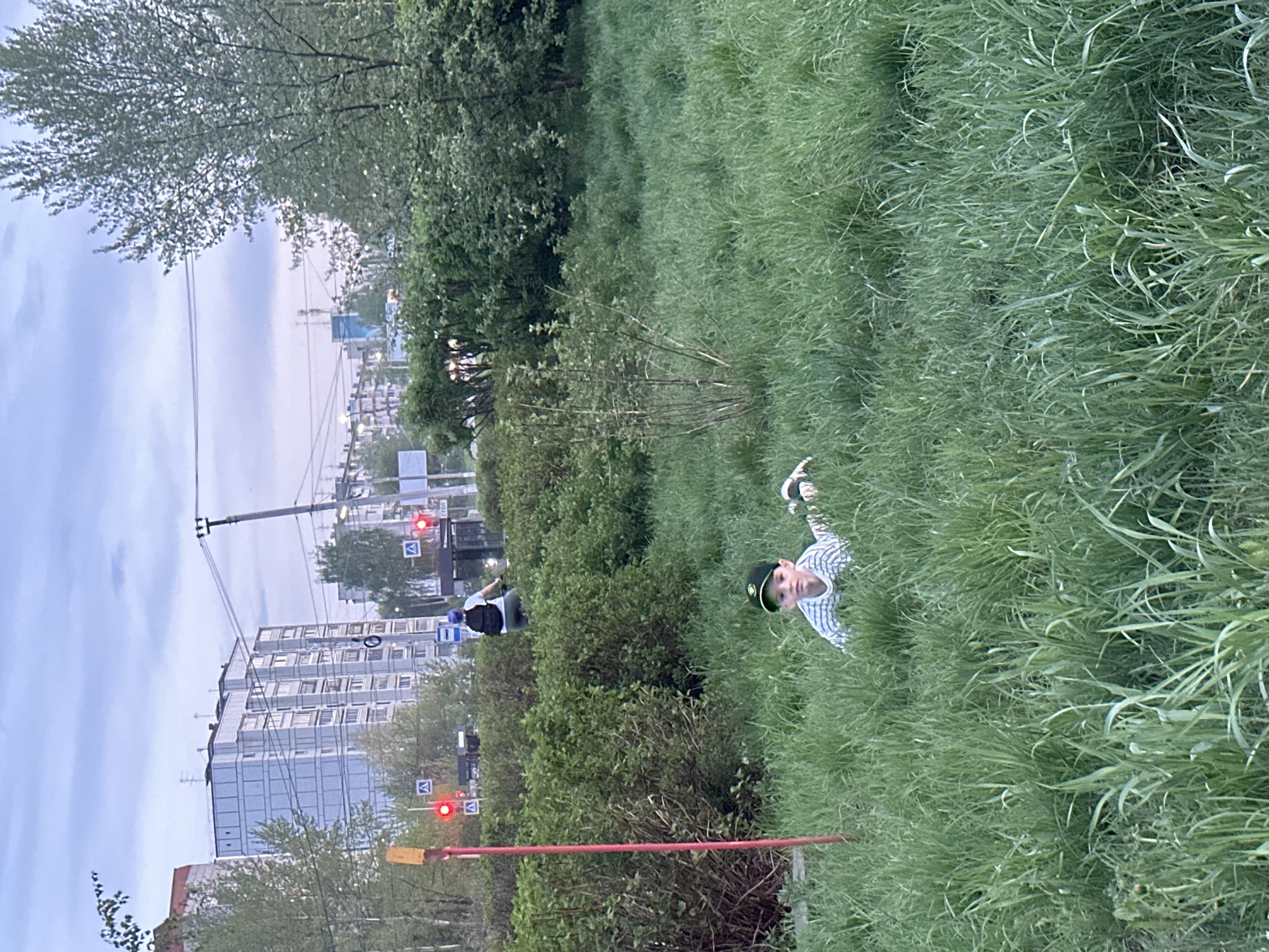 The image shows a boy lying in tall grass in a public space. He is wearing a striped shirt and a dark baseball cap. In the background, there is a cityscape with apartment buildings, trees, a traffic light, and street signs. Based on the signs written in Russian, the photo was taken in the city of Chaikovsky, Russia. A person wearing a dark shirt and white helmet is walking in the background. A red pole is visible near the boy.