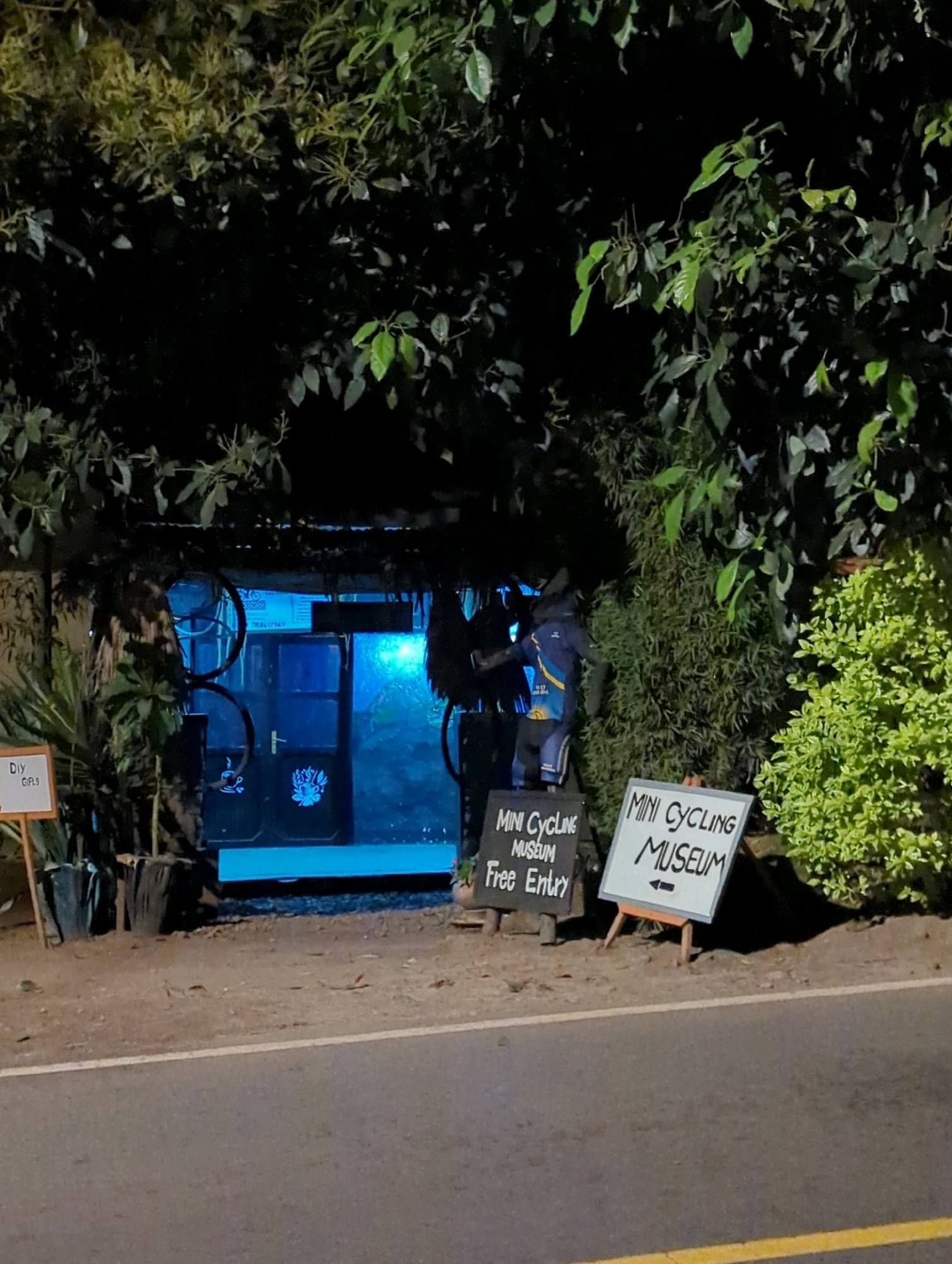 In Musanze District, Rwanda, a nighttime scene unfolds at an establishment identified as the "Mini Cycling Museum" with "Free Entry." The entrance is partially obscured by lush foliage, with trees forming a canopy overhead. The building's facade features a doorway illuminated by blue light, hinting at an interior space. To the right of the entrance, two signs are prominently displayed. One sign, dark in color, reads "MINI CYCLING MUSEUM Free Entry." Beside it, an easel-mounted white sign also announces "MINI CYCLING MUSEUM" with a black arrow pointing to the left. Adjacent to the signs, a mannequin dressed in a blue and yellow uniform stands guard. The overall atmosphere suggests a roadside attraction, likely a point of interest for visitors to the area.