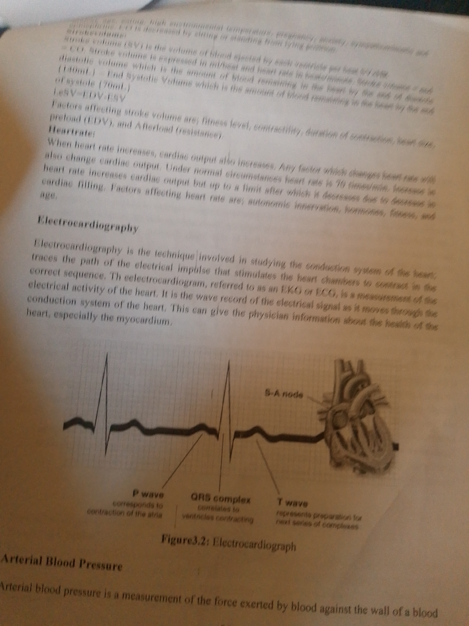 The image is a photograph of an open textbook page. The subjects are text and diagrams related to the human circulatory system and its electrical activity. The page discusses stroke volume, heart rate, and electrocardiography. A diagram illustrating an electrocardiogram (ECG) with labels for the P wave, QRS complex, T wave, and S-A node is prominently featured, alongside a simplified diagram of a human heart. The text explains the concepts of cardiac output, the factors influencing stroke volume and heart rate, and the purpose of an ECG in assessing heart health. There is also a heading for "Arterial Blood Pressure" at the bottom of the page, with the beginning of its definition visible. No people are visible in the image, and the setting appears to be a room where someone is studying or reading the textbook. The lighting is neutral, and there are no specific cues about the time of day, weather, or location beyond it being a printed educational document. The visible text is in English, providing technical information about cardiovascular physiology.