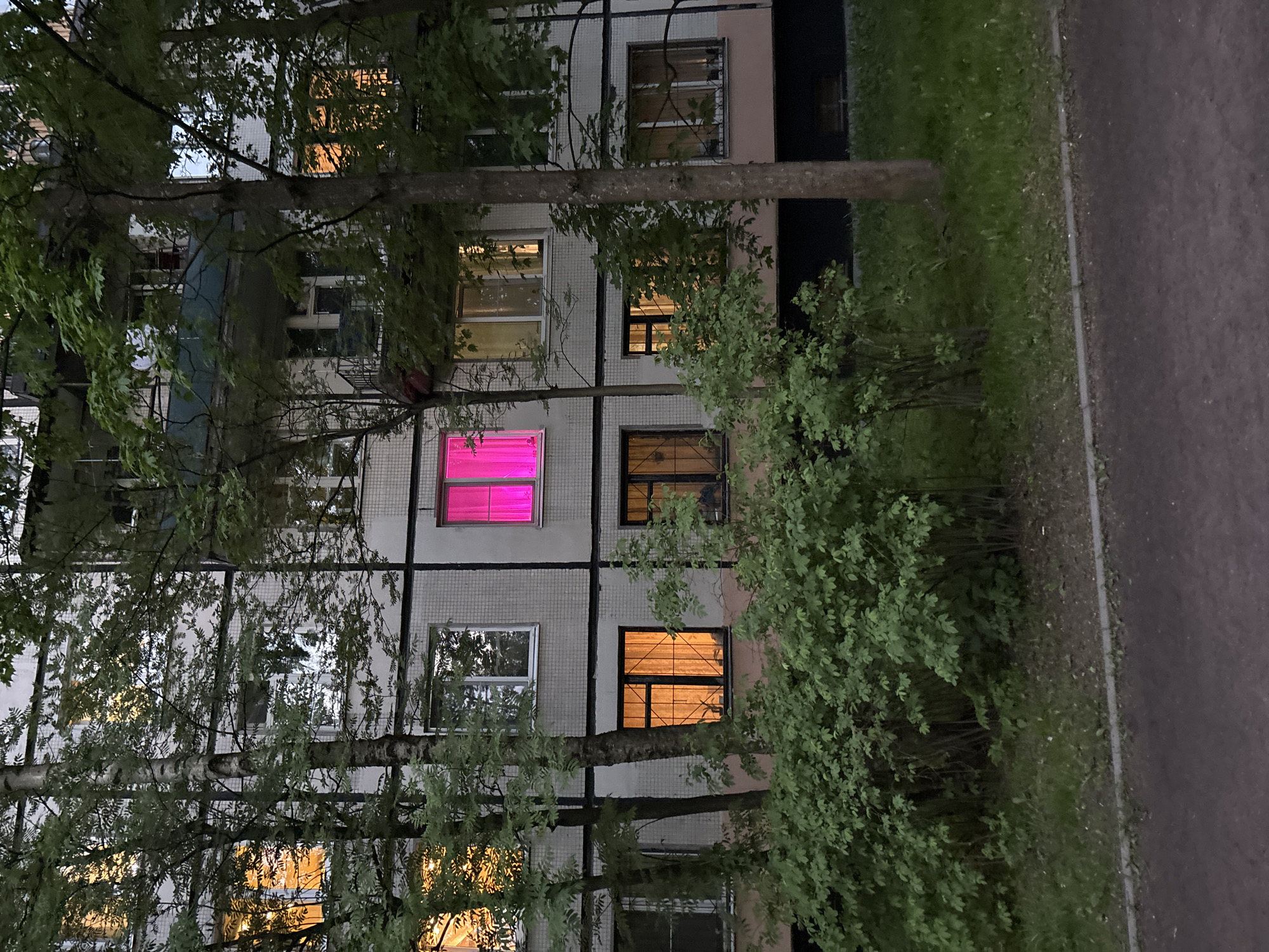 The image shows an apartment building at dusk, likely in a residential district of Saint Petersburg, Russia. The building is a multi-story structure with small, rectangular windows. Several windows are illuminated with an amber or orange glow. One window is glowing pink. Trees with green foliage partially obscure the view of the building. A paved area or sidewalk is visible on the right side of the image. The overall scene is quiet and residential.