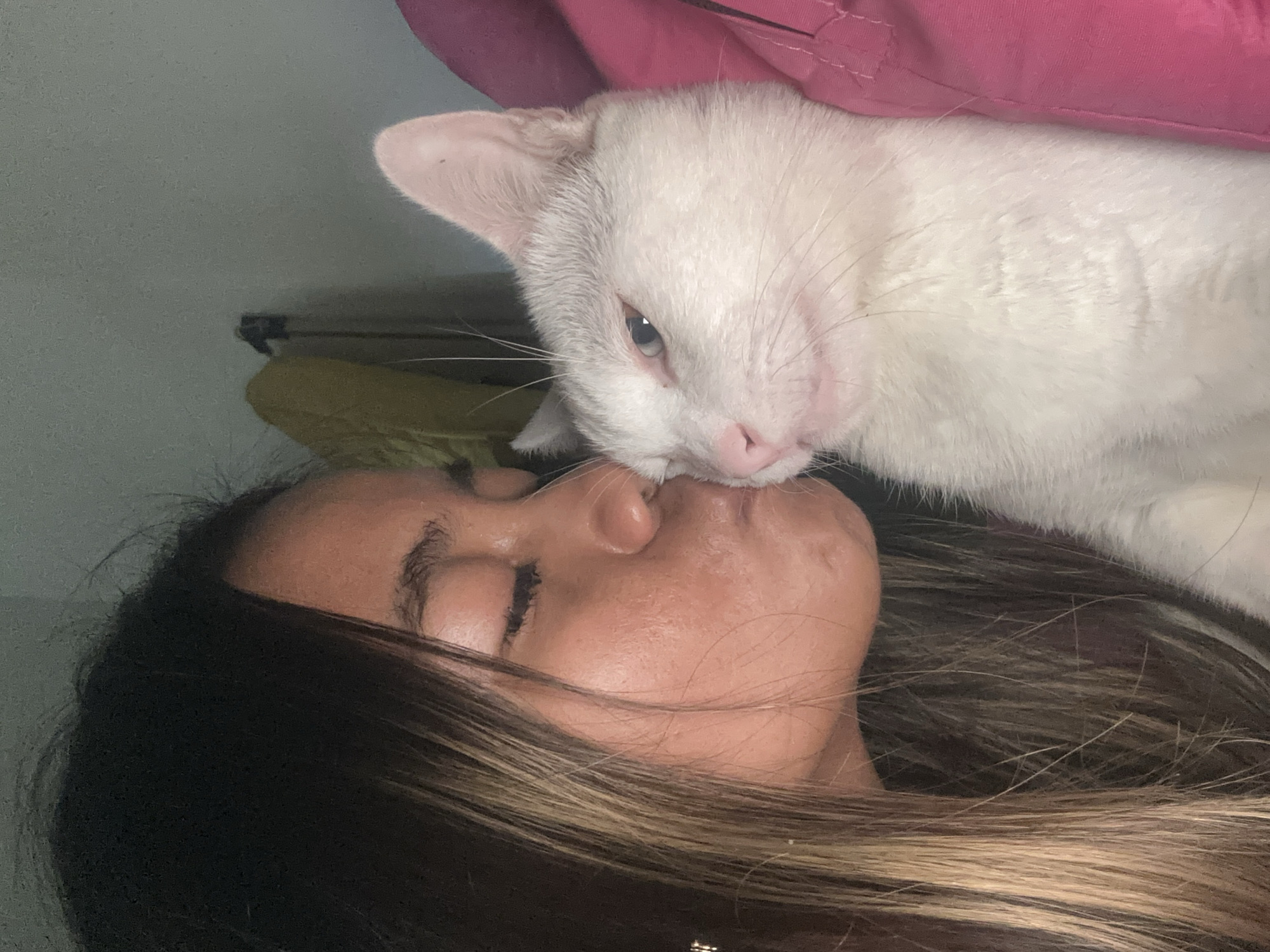 An extreme close-up photograph shows a young woman with dark brown hair, accented with blonde highlights, leaning in to kiss a white cat. The woman's eyes are closed, and her lips are pursed as she plants a kiss on the cat's cheek. The cat, with striking blue eyes and pink nose, appears to be tolerating the affection with a slightly squinched expression. The background is dark and indistinct, with a hint of a pink garment visible on the right side of the frame, suggesting the woman might be wearing it or holding it. The scene is intimate and personal, conveying a moment of affection between a pet and its owner. The photograph is cropped tightly, focusing on the faces of the woman and cat and their interaction. The location of Sukawati, Indonesia, is not visually represented in the image.