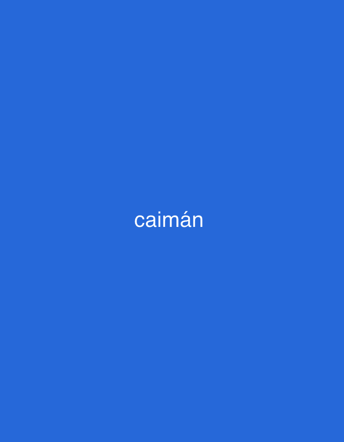 The image displays the Spanish word "caimán" in white, sans-serif text, centered against a solid, bright blue background. There are no other subjects, objects, or activities depicted in the minimalist composition. The color blue is uniform throughout the entire frame, providing a clear contrast for the white text. No specific time of day, weather, or location cues are visible within the image itself.
