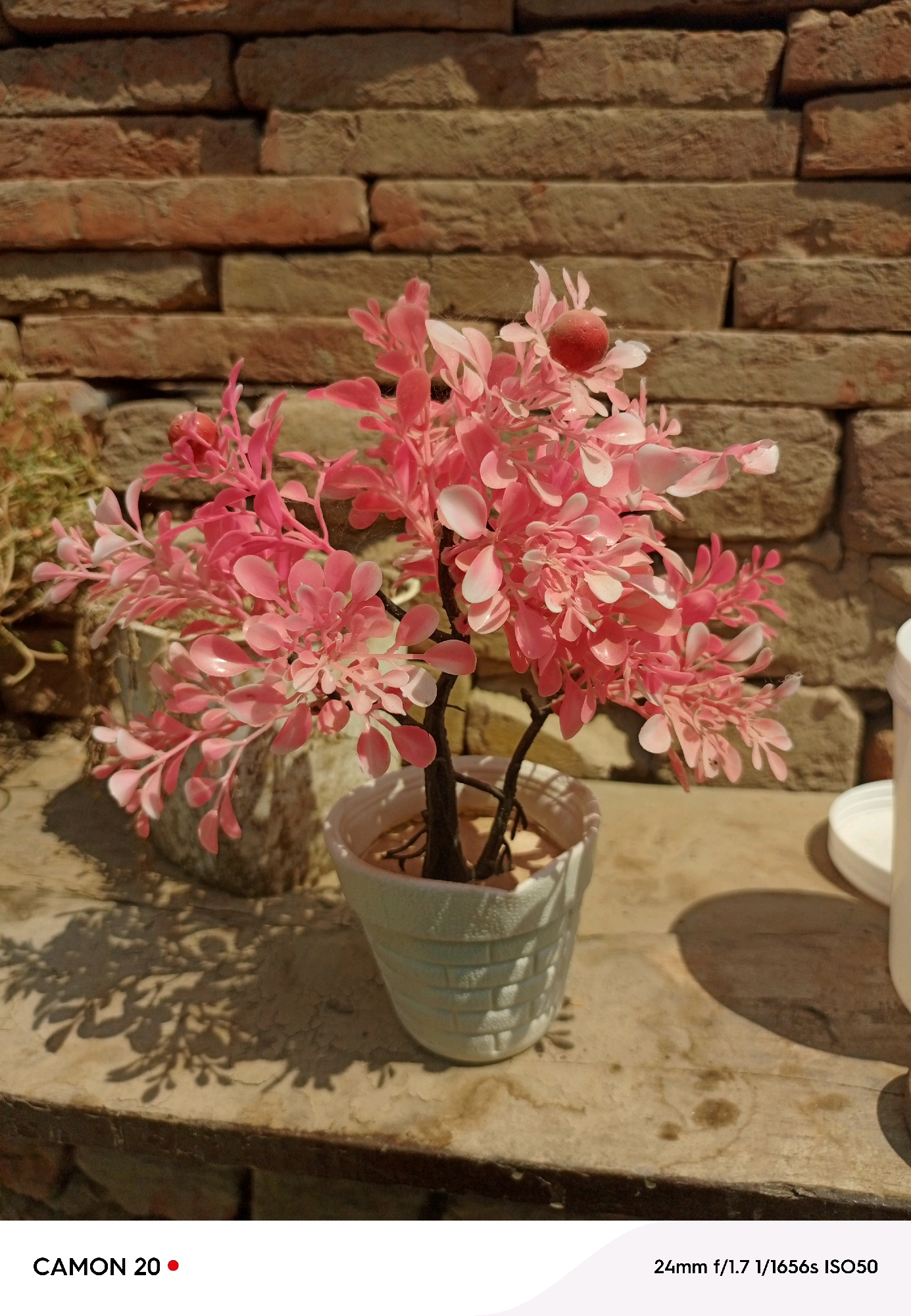 A potted artificial pink plant with a small red fruit is displayed on a stone surface in front of a brick wall. The plant is in a white textured pot. The background consists of a textured brick wall. Shadows of the plant are cast on the stone surface. The bottom of the image shows text indicating "CAMON 20" and camera settings "24mm f/1.7 1/1656s ISO50". This scene is not located in Tarinda Saway Khan, Pakistan.