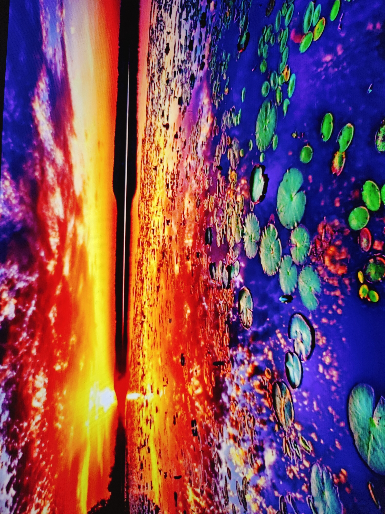 The image depicts a digitally rendered or heavily processed scene, not a photograph of an actual location. The left side of the image features an intense, abstract display of fiery orange and yellow hues, suggesting a sunset or explosion, with wispy, cloud-like formations. A dark vertical element runs through the center, separating this fiery area from the right side. The right side of the image is dominated by vibrant blue, interspersed with numerous green, circular shapes that resemble lily pads on water. These lily pads vary in size and some are partially submerged. The overall impression is of an artistic or surreal representation, possibly a digital artwork or a distorted photograph. It does not represent a recognizable scene in Baku City, Azerbaijan.