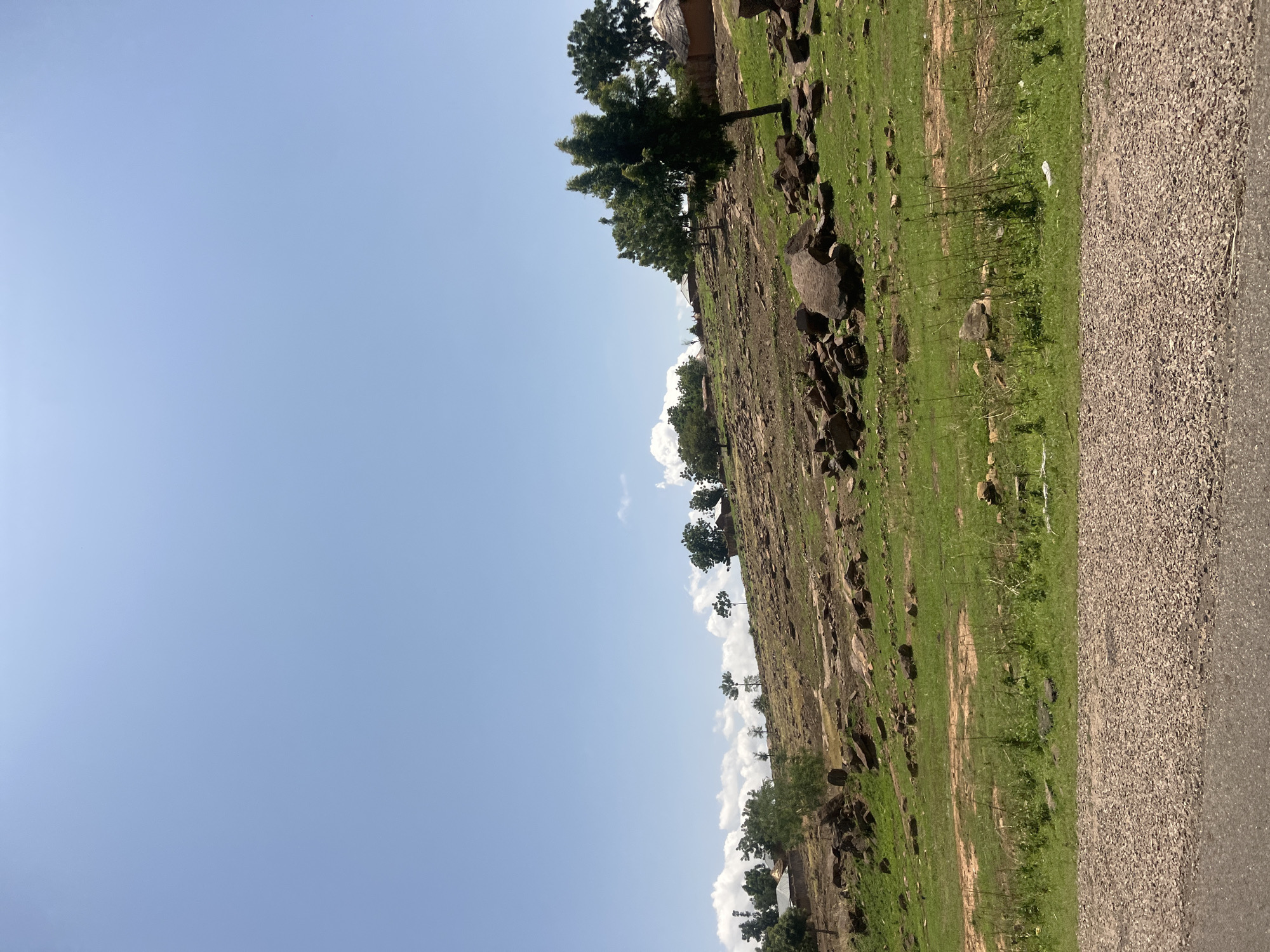 The image displays a rural landscape within Kwarge, Nigeria, under a clear, light blue sky with minimal, scattered white cumulus clouds. The scene is dominated by a moderately sloped, undulating hillside featuring a mix of green grass and exposed reddish-brown soil. Numerous large and medium-sized dark grey-brown boulders are dispersed across the slope. Several sparse deciduous trees with green foliage are scattered, with a prominent tree in the lower right mid-ground. On the upper slopes, a small settlement is visible, comprising several structures. On the far right, a traditional round hut with a conical thatched roof is present. Towards the left, other structures with lighter-colored walls and possibly metallic roofs are evident. The immediate foreground shows a dark grey asphalt road at the bottom, followed by a wide strip of light brown gravel or crushed stone. Above this is a band of green grass with weeds and small debris. No people, animals, or discernible activities are present.