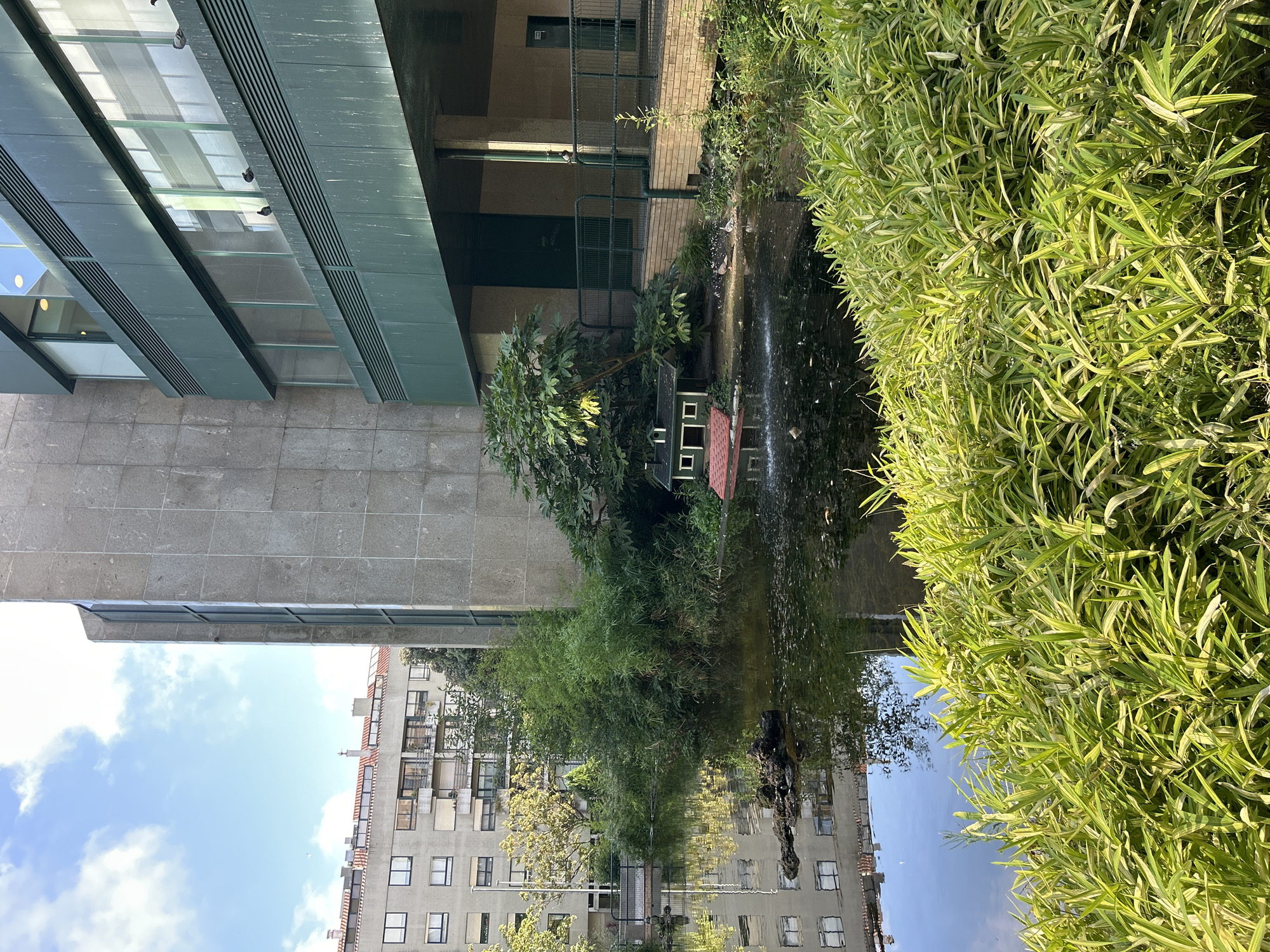 This is a medium shot, taken outdoors on a sunny day, showing a man-made pond in an urban setting, possibly a courtyard or public space. The pond is surrounded by lush green foliage, with bamboo-like plants in the foreground and a variety of trees and bushes behind it. On the edge of the pond, a miniature, dollhouse-like structure resembling a green house with a red roof is visible. Several pigeons are gathered near this structure and a small fountain is active in the pond. In the background, a tall, imposing building with a grey, stone facade and green-tinted windows rises to the right, while a residential building with multiple floors and balconies is visible to the left, partially obscured by trees. The sky above is blue with scattered white clouds. Reflections of the buildings and trees can be seen in the calm surface of the pond.