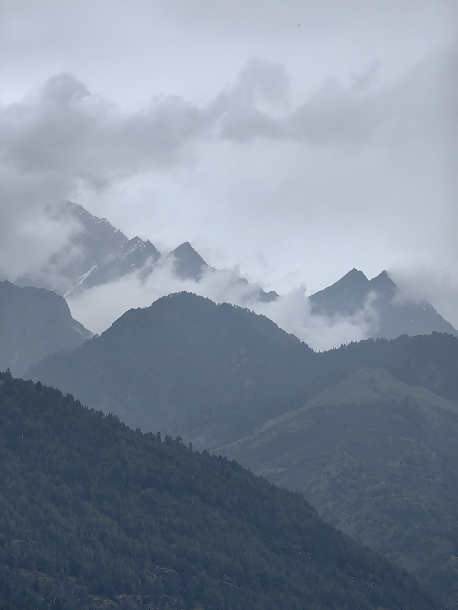This is a photograph of the Himalayan mountain range near Vashisht, India. The image depicts a series of layered, dark blue and gray mountain peaks shrouded in thick, white clouds. Some of the higher peaks show patches of snow. The slopes of the lower mountains are covered in dense, dark green coniferous trees, giving them a fuzzy texture. The sky is overcast and uniformly gray, with diffused light. There are no visible people or man-made structures in the image. The overall mood is serene and atmospheric, highlighting the natural grandeur of the mountainous landscape under a cloudy sky.