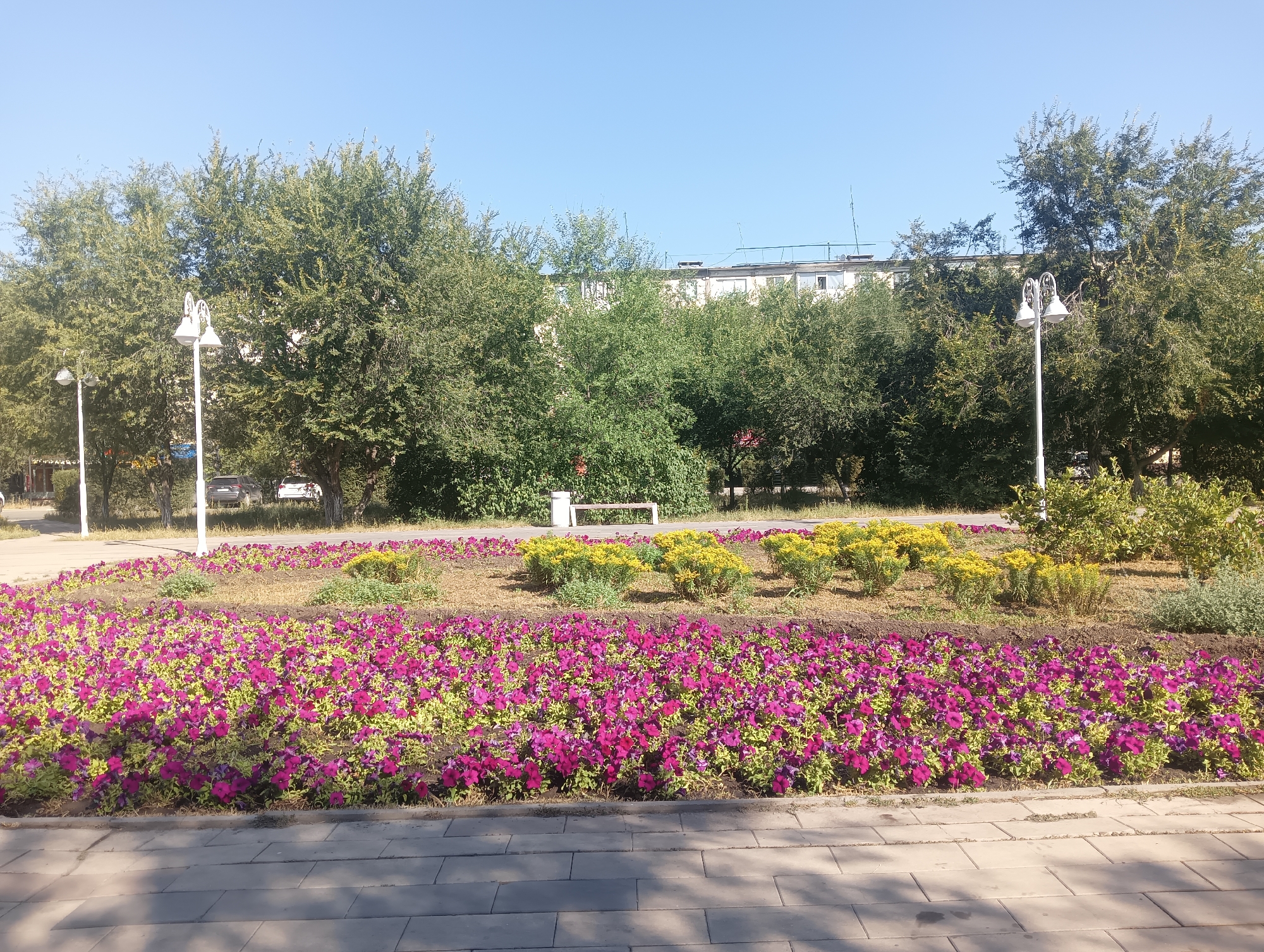The image depicts a city park area in Aktobe, Kazakhstan, on a clear, sunny day. In the foreground, a flower bed is densely planted with vibrant pink and purple petunias, interspersed with lighter green foliage. Beyond this, another, slightly raised flower bed features clusters of yellow flowers. A paved walkway runs along the very bottom of the frame, with some dappled sunlight creating shadows on the grey, rectangular paving stones.
In the middle ground, several tall, mature green trees form a lush backdrop. Behind the trees, a white, multi-story building with a flat roof is visible. Two white lampposts with decorative, curved tops are positioned on either side of the flower beds, indicating a public area. A narrow road can be seen behind the trees, with two white cars parked on the side. Further back, more trees and vegetation create a dense green line across the horizon. The sky is a bright, clear blue. There are no people visible in the scene.