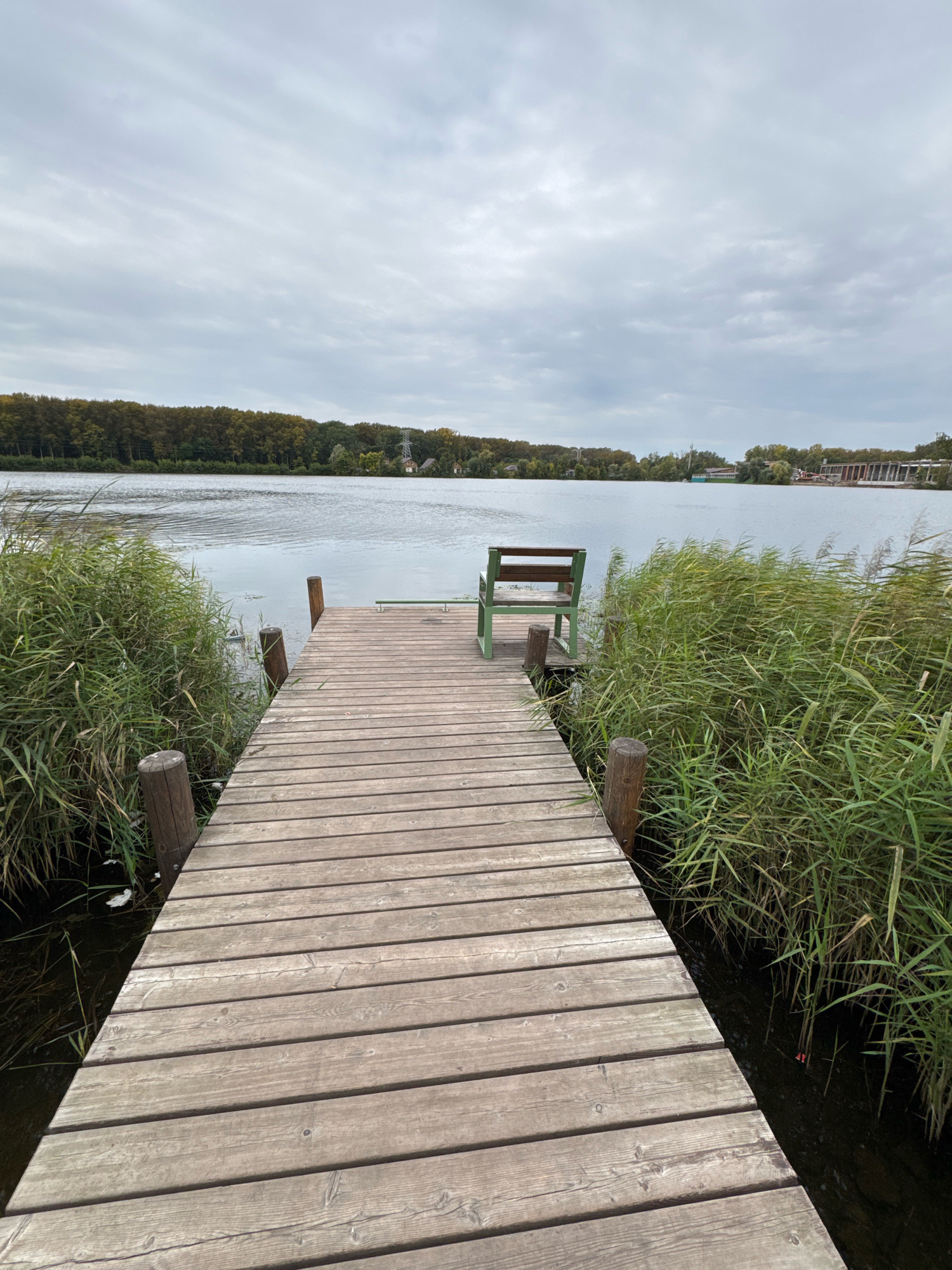 The image depicts a wooden pier extending into a calm body of water under an overcast sky. Dense reeds line both sides of the pier, with a lone green bench positioned at the end of the pier. In the distance, a treeline borders the opposite shore, with several buildings and a power line visible among the trees. The scene appears to be set in a natural, possibly recreational area, with no people or animals present. The water is calm, with gentle ripples on the surface. The overall atmosphere is serene and quiet.