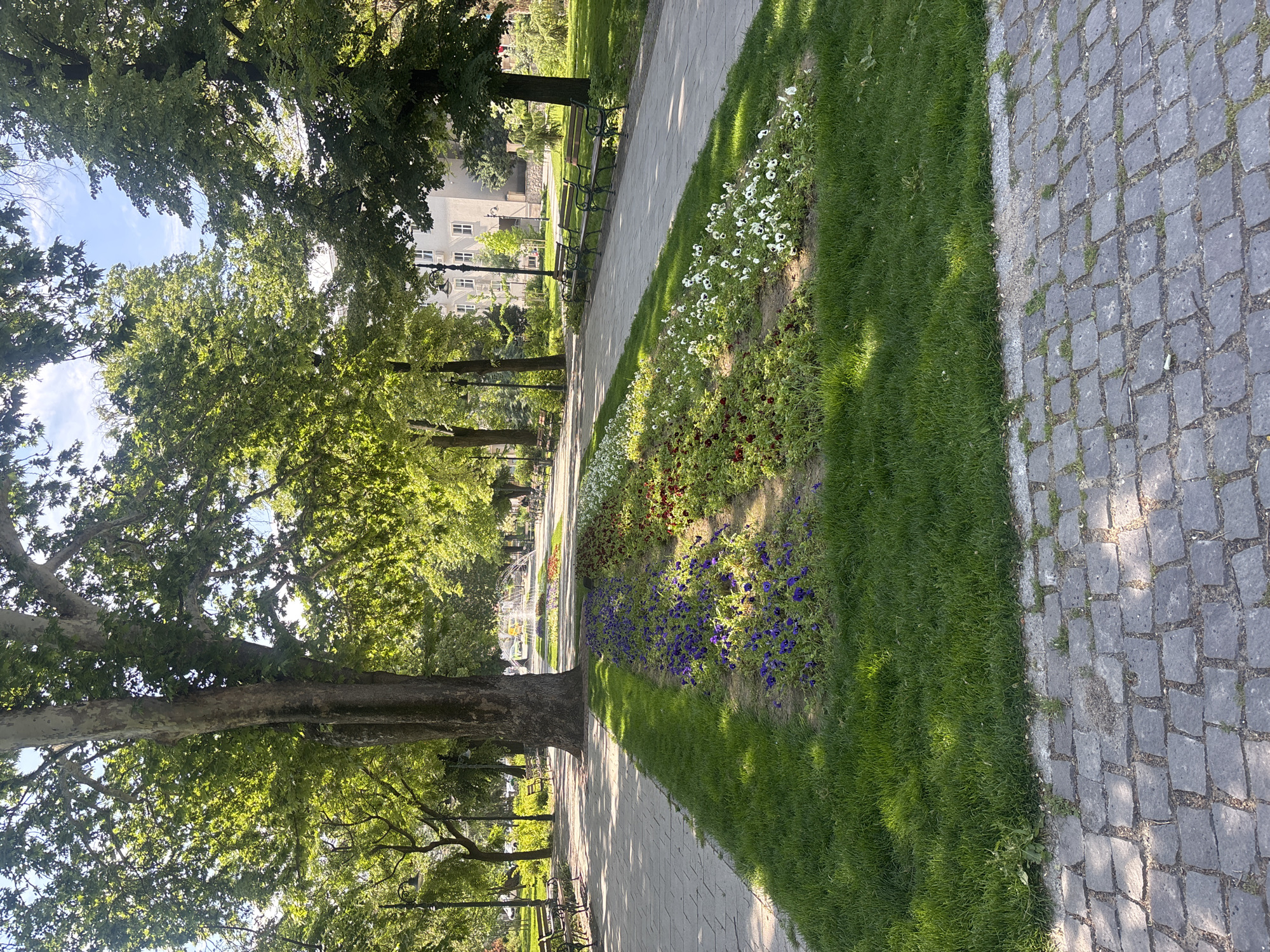 The image depicts a park pathway in Plovdiv, Bulgaria. The pathway is lined with trees, grass, and flowerbeds featuring white, red, and purple flowers. Benches are visible along the pathway. The pathway's surface is paved with light-colored stones on one side and dark gray cobblestones on the other. A building is visible in the background, partially obscured by trees. The scene is bathed in sunlight, creating shadows along the pathway. There are no visible people in the image.