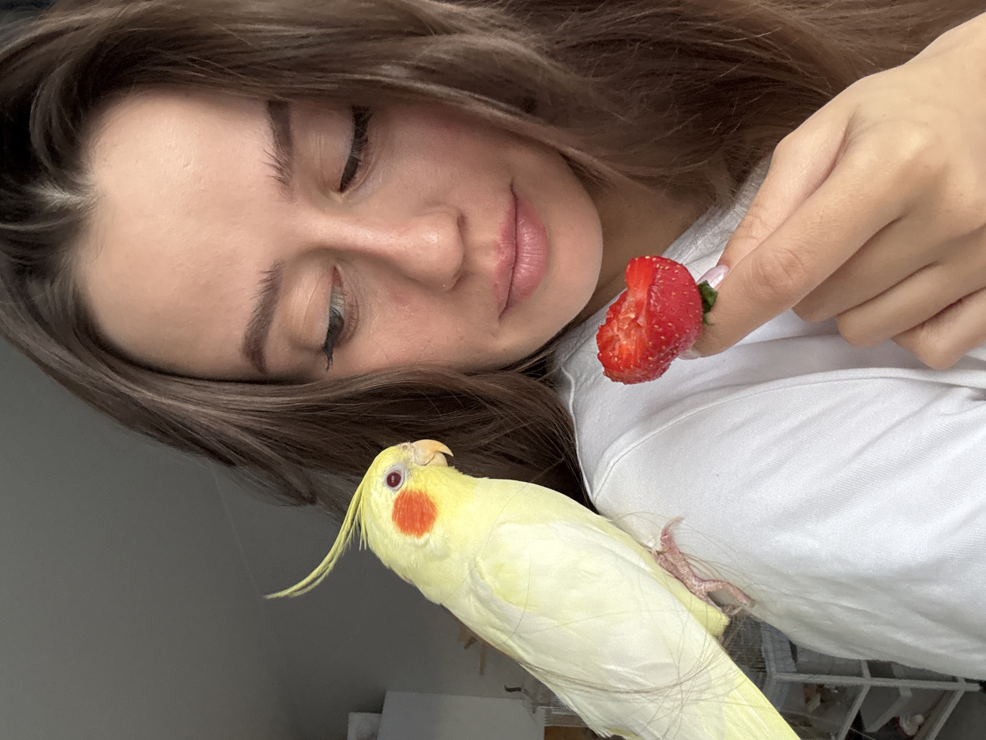 A young woman with long, light brown hair is holding a halved strawberry. Her eyes are mostly closed, and she has a gentle smile. A yellow cockatiel with orange cheek patches is perched on her white shirt. The setting is indoors, possibly a home. The location in the city of Krasnoyarsk, Russia is not determinable from the visual data.