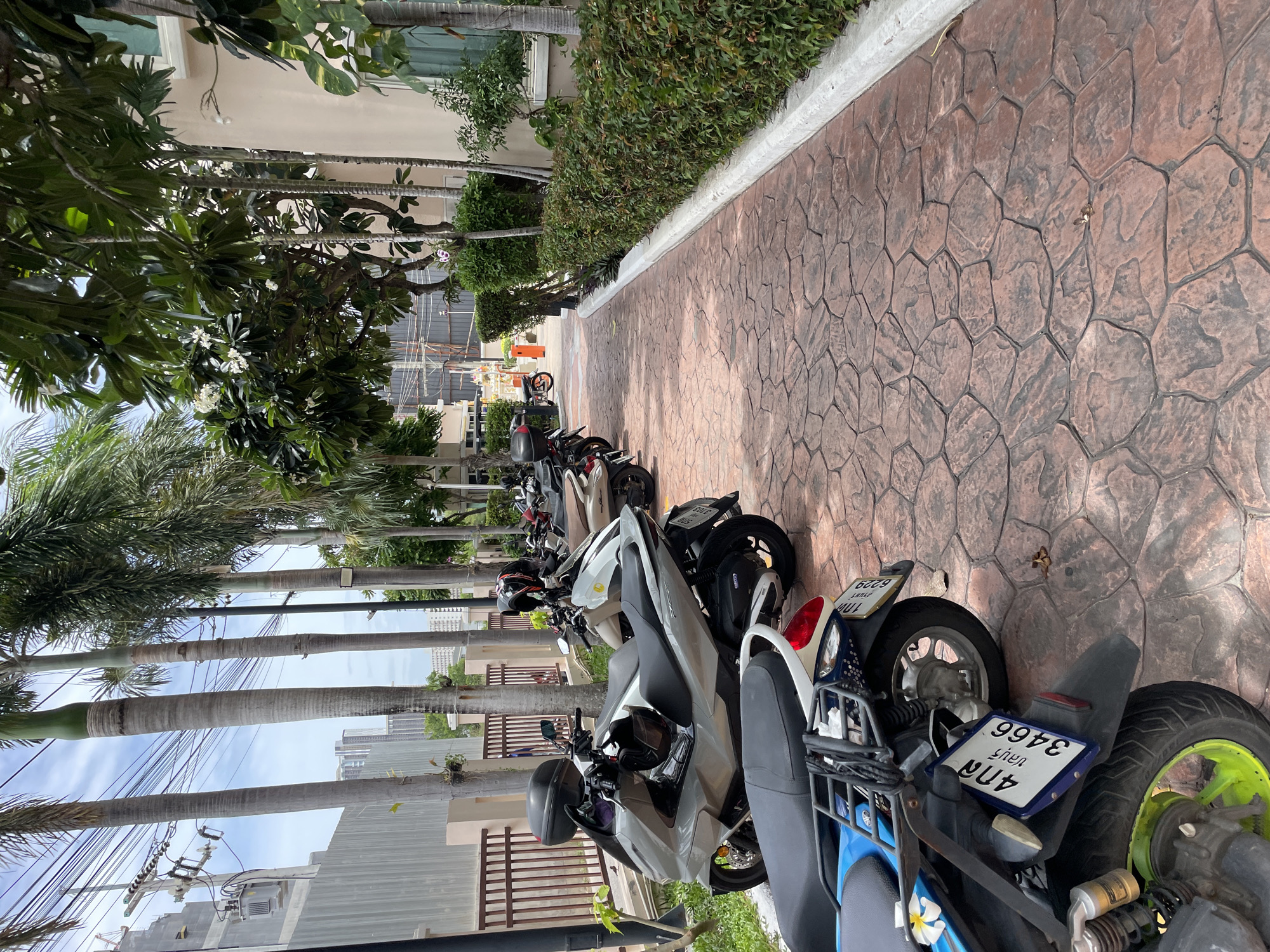In Pattaya City, Thailand, a paved walkway with a stone-like pattern leads past a row of parked scooters and motorcycles. The walkway is bordered by lush green bushes on the right and palm trees on the left, with a building visible behind the foliage. In the background, tall buildings and overhead power lines indicate an urban setting. The scooters are parked neatly in a designated area. The scene appears to be a common outdoor space in a tropical city, likely a residential complex or public area.