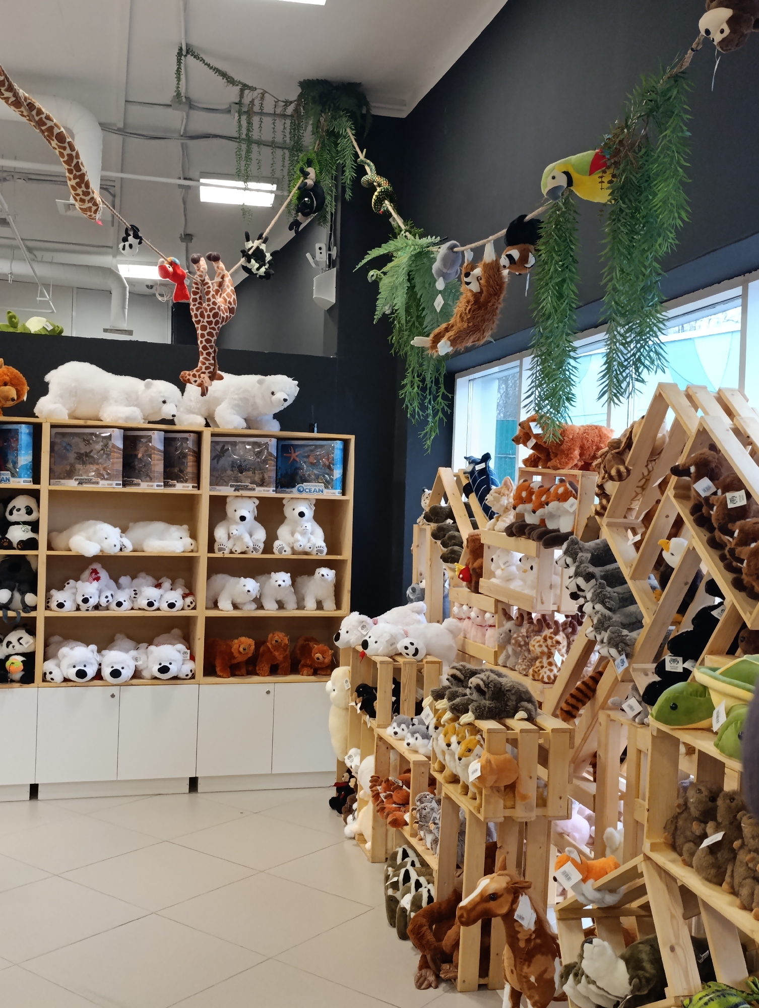 The image captures the interior of a store, likely located in Perm, Russia, based on the prompt. The primary focus is on displays of plush animal toys. On the left, a white shelving unit contains numerous stuffed polar bears, arranged by size and design, alongside a small collection of panda plushies. Above this unit, three large plush polar bears sit atop the shelves. A stuffed giraffe stands in between those bears, hung from the ceiling. Overhead, various stuffed animals, including a giraffe and a group of pandas, are strung from the ceiling on a rope.
To the right, a series of wooden, tiered displays showcase a wide variety of plush animals including foxes, raccoons, turtles, and horses. These wooden displays take up the majority of the right side of the frame, filled densely with the plush toys.
In the background, artificial greenery hangs from the ceiling, simulating a jungle environment. A large window provides natural light, highlighting the products on display. The walls are dark, contrasted by the white shelving and light-colored floor tiles. The scene is devoid of people, focusing entirely on the merchandising of these stuffed animal toys.