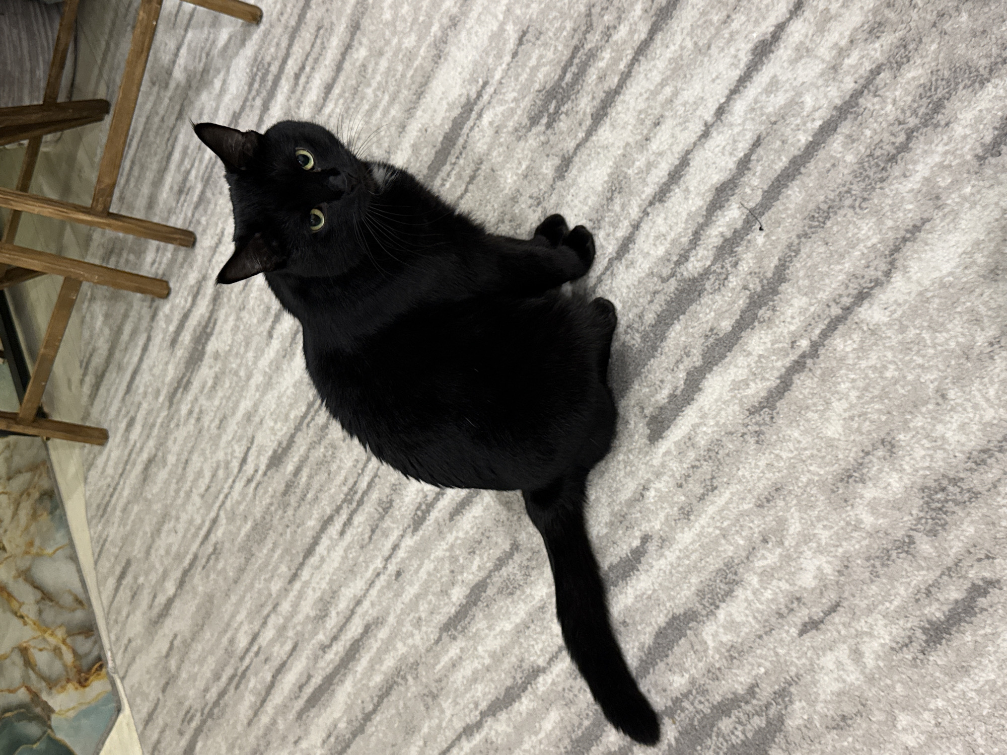 A black cat with green eyes lies on a gray and white striped rug. The cat is positioned in the center of the frame, looking upwards towards the left. Parts of a wooden chair are visible in the upper left corner of the image. The rug appears to be indoors and is textured. The image has no indication of being in the city of Chaikovsky, Russia.