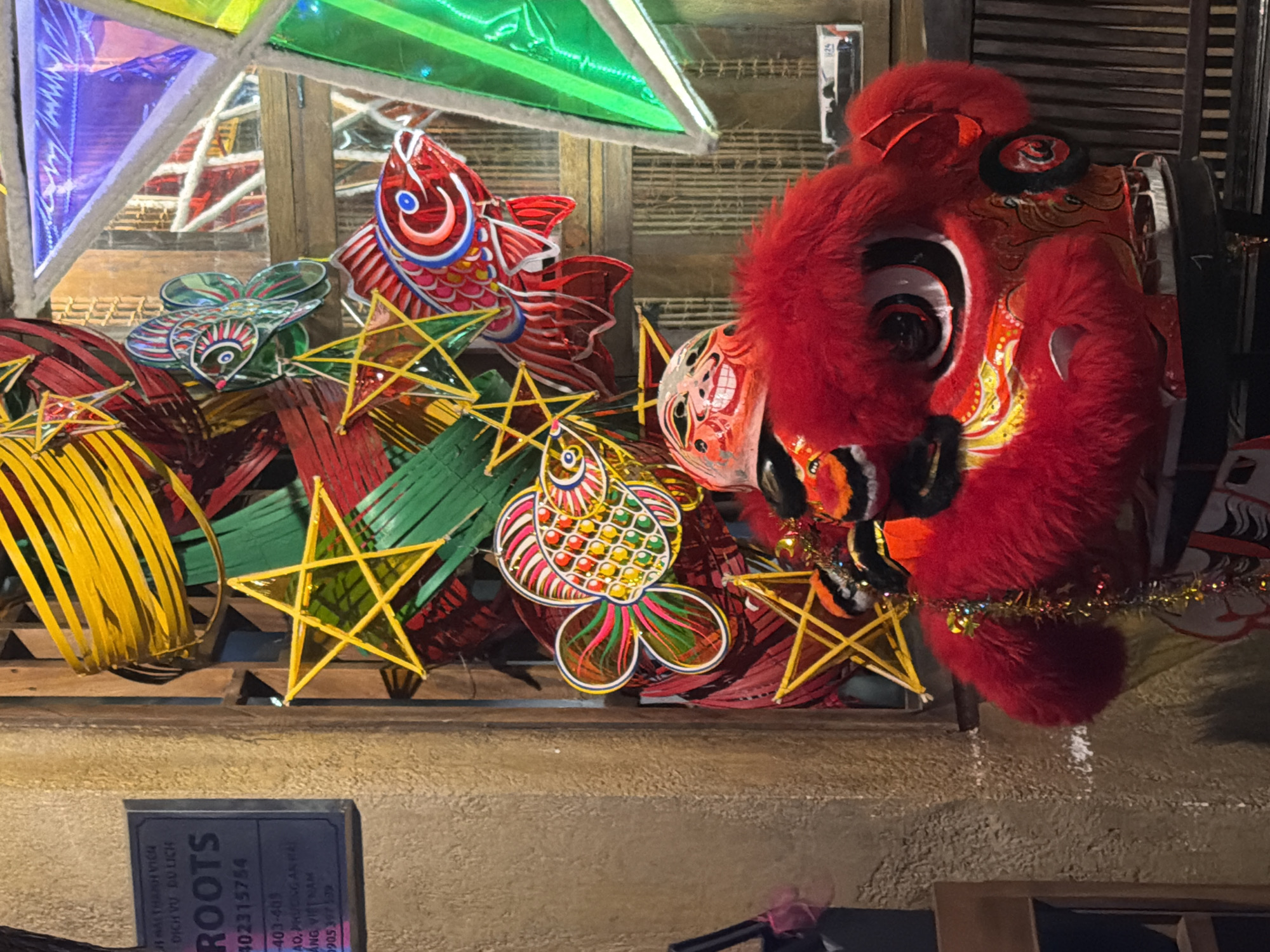 This image captures a festive display of traditional Vietnamese lanterns and decorations, likely in Đà Nẵng, Vietnam. In the foreground, a vibrant red lion dance head, adorned with fluffy fur and intricate painted details, is prominently featured. Behind the lion head, an assortment of colorful lanterns are visible, including star-shaped ones in yellow and red, and fish-shaped lanterns in red and multi-colored designs. Some of these lanterns are crafted from bamboo and paper, with radiating spokes and translucent panels. The background reveals more of the dimly lit environment, with wooden structures and what appears to be a window or display area. A sign is partially visible on the left, bearing Vietnamese text and the word "ROOTS," along with phone numbers, suggesting a business establishment. The overall impression is one of celebration and cultural heritage, possibly related to a festival like the Mid-Autumn Festival.