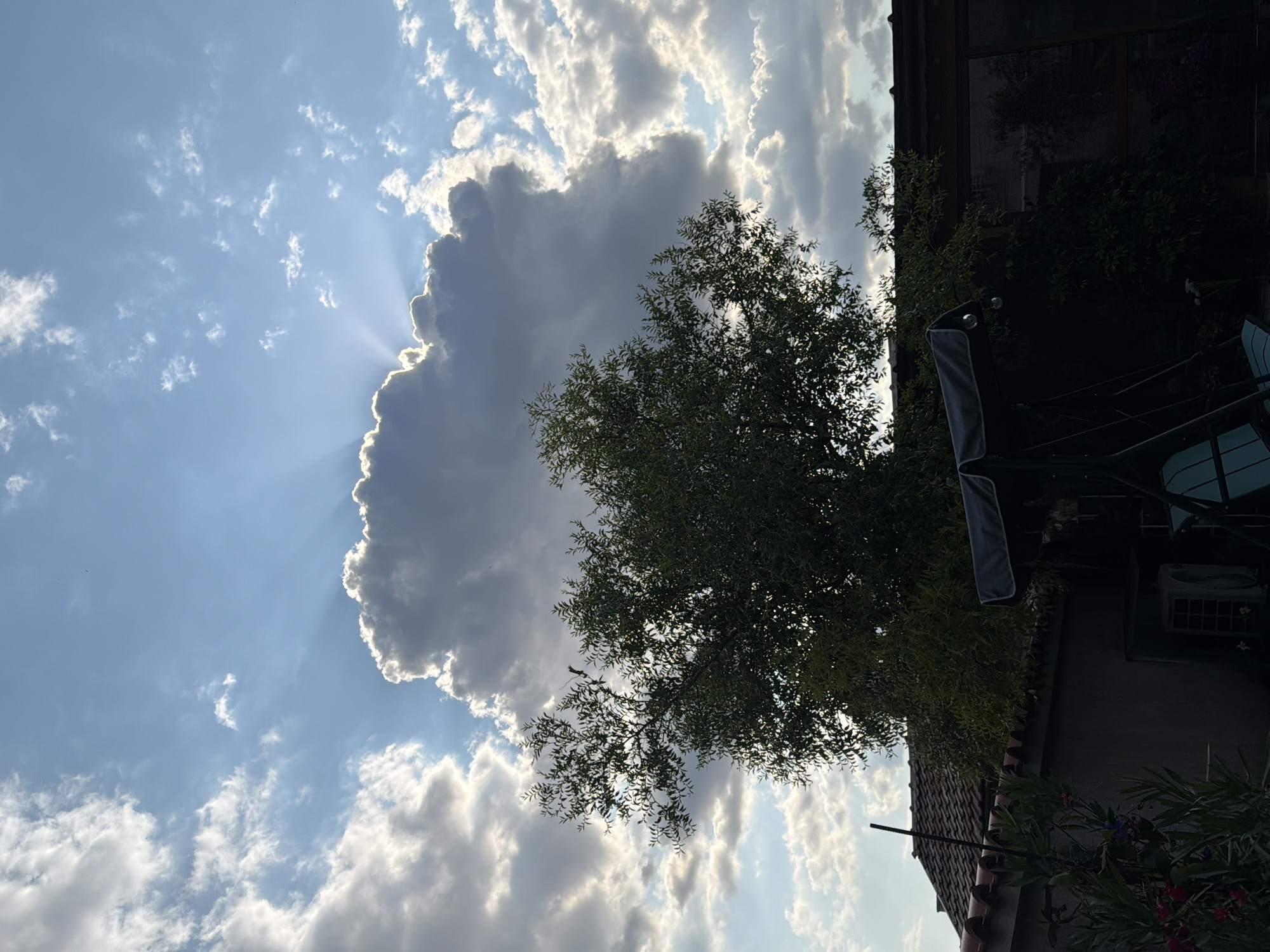 The image captures a dramatic sky with sunbeams piercing through a large, dark cloud. The sky is a brilliant blue, dotted with fluffy white clouds. A silhouette of a tree fills the right side of the frame, its branches reaching towards the sunlit sky. Partially visible on the far right is a building with a dark facade, possibly a house or apartment, with an air conditioning unit visible. Below the building, a red-tiled roof and some foliage are present.
The scene suggests a late afternoon or early evening, with the sun low in the sky and casting a warm glow. The presence of the tree and building indicate an outdoor setting, likely a residential area or a garden. The contrast between the bright sunbeams and the dark cloud creates a sense of awe and perhaps a hint of impending weather change. No people are visible in the image. There is no visible text.