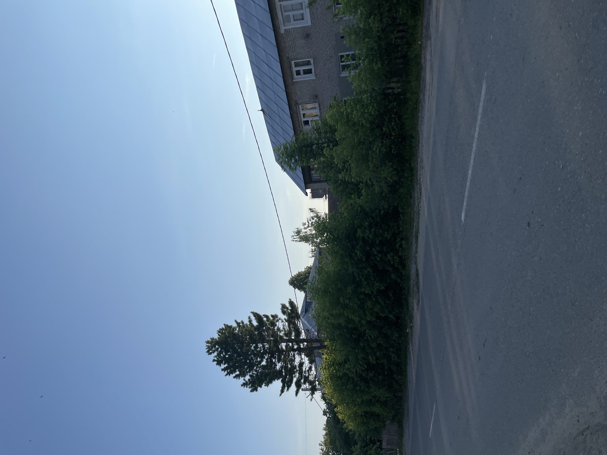 The image depicts a quiet street scene in the village of Prudy, Russia, under a clear blue sky. In the foreground, a gray asphalt road is visible, with a faded white line marking the lane. To the right, a two-story building constructed of light-colored brick stands, featuring a pitched metal roof and several windows. Lush green trees and dense bushes line the area between the road and the building, partially obscuring a wooden fence on the far left. A tall evergreen tree stands prominently in front of the building, its branches reaching towards the sky. The scene is tranquil, with no people or vehicles present, suggesting a peaceful, rural atmosphere.