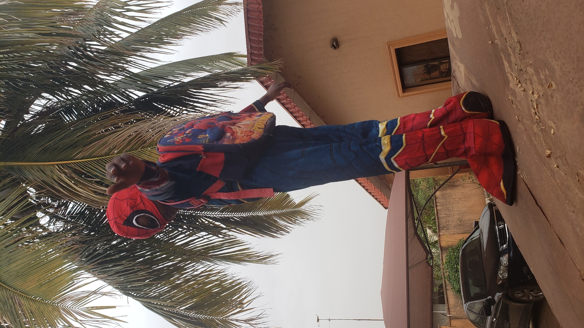 A person wearing a Spider-Man costume and a backpack stands near a palm tree, appearing to grip the eaves of a building. The location appears to be Narayi, Nigeria based on image metadata. A dark colored sedan is parked behind the building. The sky is overcast.