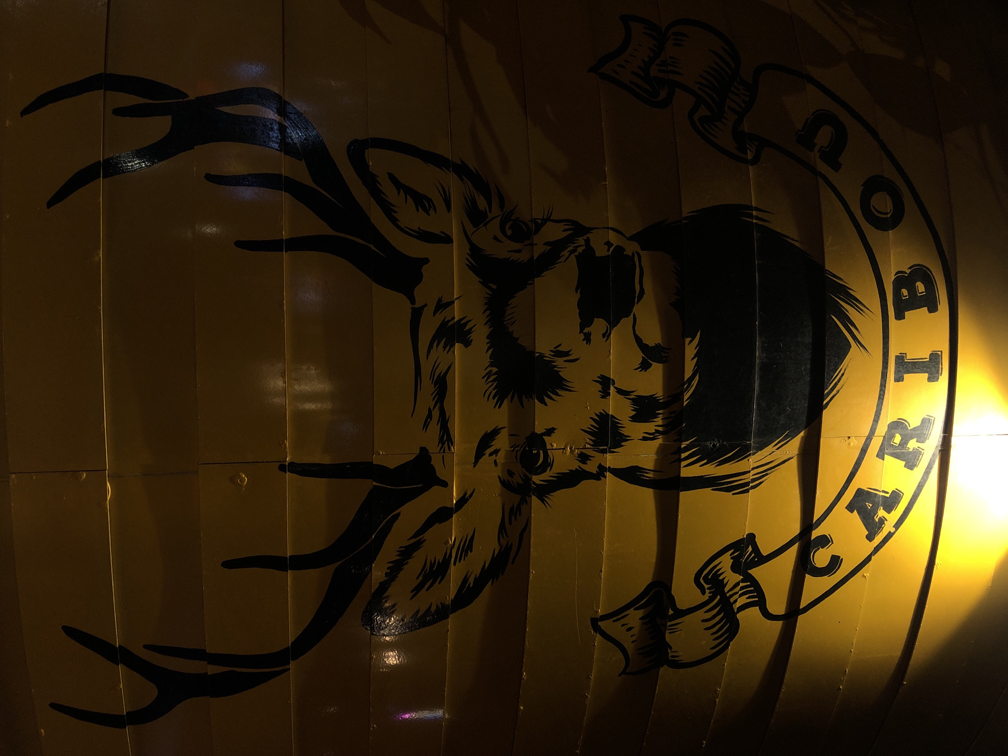This media file shows a close-up of a yellow barrel with a black graphic of a deer's head and antlers. The deer is depicted in profile, facing left, with intricate details in its fur and eyes. A banner with text is wrapped around the deer's head, curving from the top left to the bottom right of the image. The barrel's surface is segmented by vertical lines, suggesting it is made of joined metal plates. The lighting is dim, with a bright yellow light source originating from the right side of the image, casting shadows and highlighting the texture of the barrel. A hint of colorful light, possibly from neon or LEDs, is reflected on the lower left side of the barrel. The visible text on the banner appears to be "CARIBOU", with the letters "C", "A", "R", "I", "B", and "O", "U" clearly legible. The overall impression is of a decorative element on a large container, possibly for storage or as part of a bar or establishment in Đà Nẵng, Vietnam, given the location context. The image has a slightly gritty or rustic feel due to the lighting and texture.