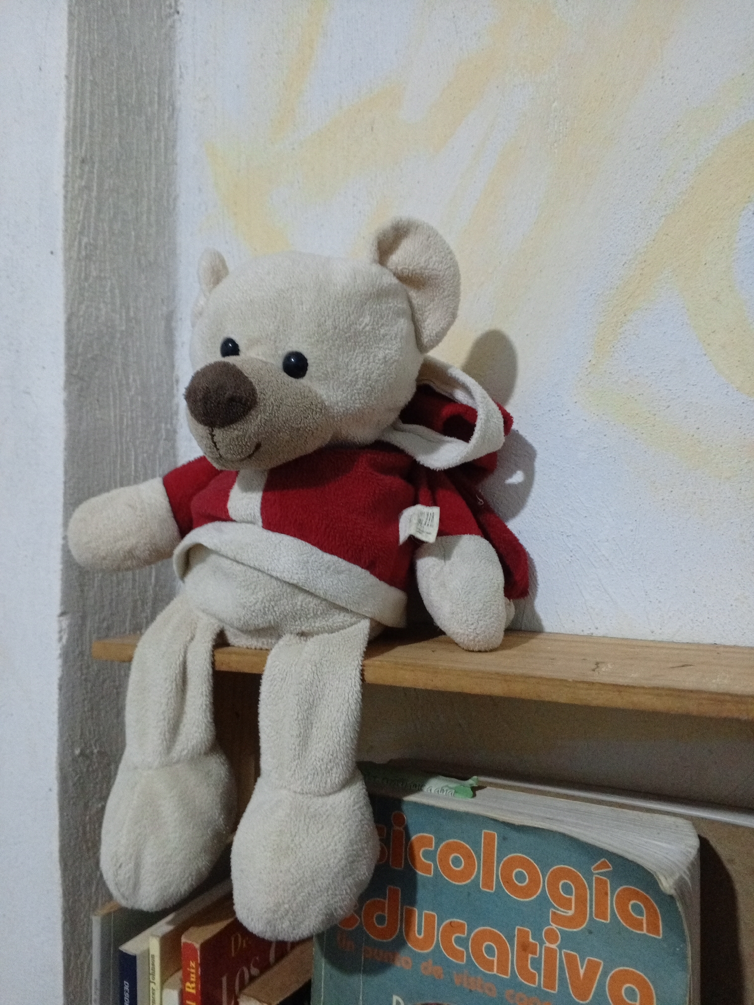 A white teddy bear wearing a red and white hooded jacket is sitting on a wooden shelf. The shelf is positioned against a wall with a textured surface and yellow paint streaks. Below the shelf are several books. One book is titled "Psicología Educativa." The location is Parroquia Ocumare, Venezuela.