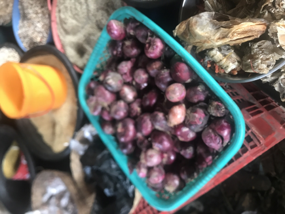 The image shows a close-up of a green plastic basket filled with red onions. The basket is sitting on a red plastic crate. There are other items in the background, including a bucket, a bag, and a bowl with dried fish. This scene is likely from an open-air market in Umudike, Nigeria, located at the coordinates 5.481 latitude and 7.546 longitude.