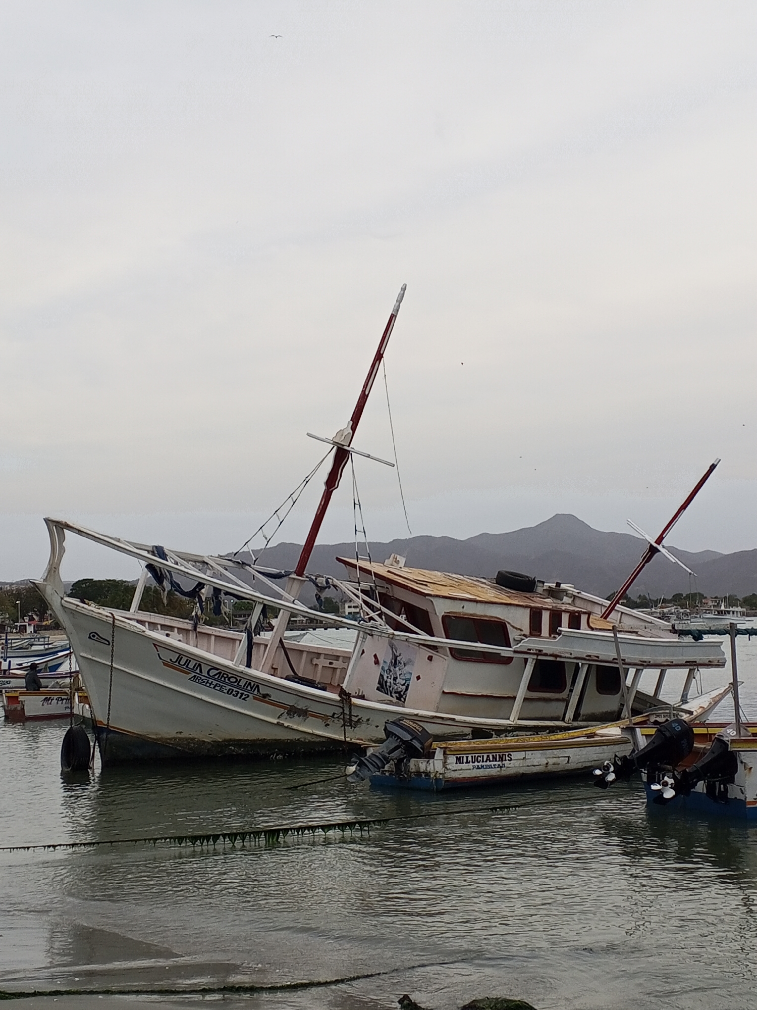 The image captures a scene in Juan Griego, Venezuela, likely near a harbor or waterfront. The focal point is a weathered, partially dismantled fishing boat named "JULIA CAROLINA ARSH-PE-0312." The boat is white with a red mast and appears to be in disrepair, suggesting it may be out of service or abandoned. Alongside the "JULIA CAROLINA," a smaller boat named "MI LUCIANNIS PAMPATAR" is visible, also with signs of age or wear. The environment is characterized by water and an overcast sky, indicating a somber atmosphere. Mountains are visible in the background, adding depth to the landscape. There are also several other small fishing boats present and a tire hanging off the back of the Julia Carolina.