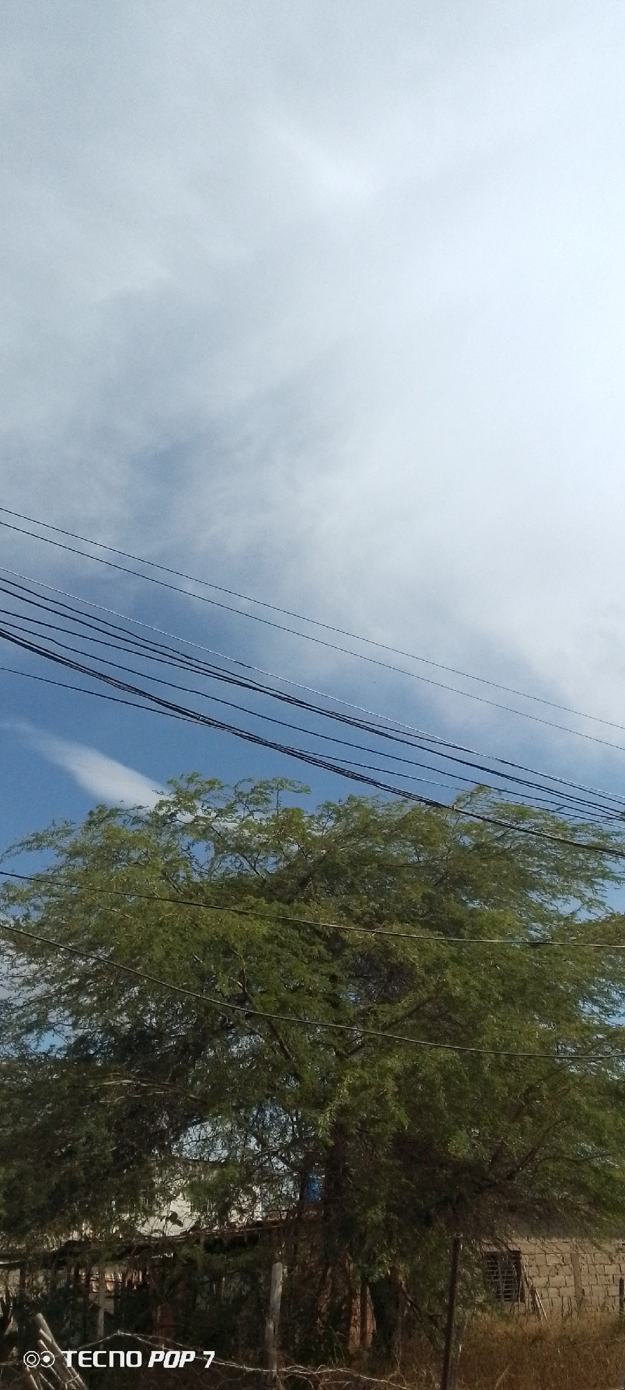 The image presents a view of the sky partially obscured by clouds, intersected by a series of parallel electrical wires. Below this, a full, green tree occupies a significant portion of the frame. At the base of the image, the visible landscape includes a partial view of a building constructed from light-colored brick and wooden elements. The image contains the text "TECNO POP 7" in the lower left corner. Given the location in the city of Altagracia, Venezuela, the scene likely depicts a residential or rural area with utilities infrastructure.