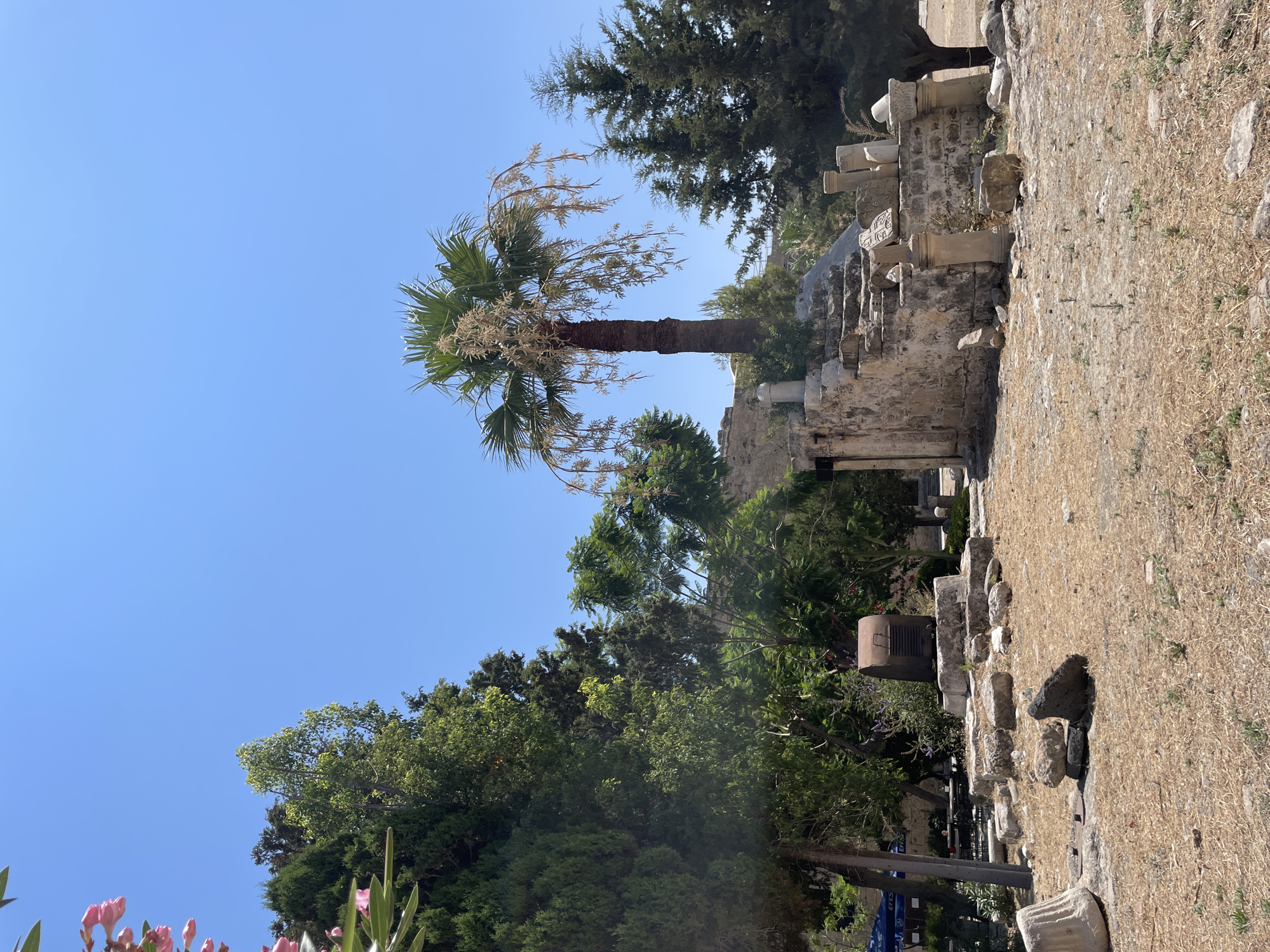 The image depicts an outdoor scene featuring ancient ruins and vegetation under a clear blue sky. In the foreground, dry, yellow grass covers the ground, interspersed with rocks and remnants of stone structures. Several large, weathered stone blocks and columns are scattered throughout the area.
A prominent feature is a tall palm tree with a thin trunk and drooping fronds, situated in the middle ground. To the left of the palm tree, there are dense green trees, including what appears to be a cypress tree. To the right of the palm tree, more evergreen trees are visible.
Behind the palm tree and to the right, partially crumbled stone walls and structures with visible architectural elements like columns and carved stones suggest the presence of historical ruins. A rusty, box-like object rests on a stone base in the mid-left section of the image. In the background, glimpses of buildings and tables with umbrellas suggest the proximity of a town or tourist area, likely the city of Kyrenia, Northern Cyprus.
The overall impression is one of an archaeological site in a sunny, arid environment. No people are visible in the image. The scene is static and depicts a historical location.