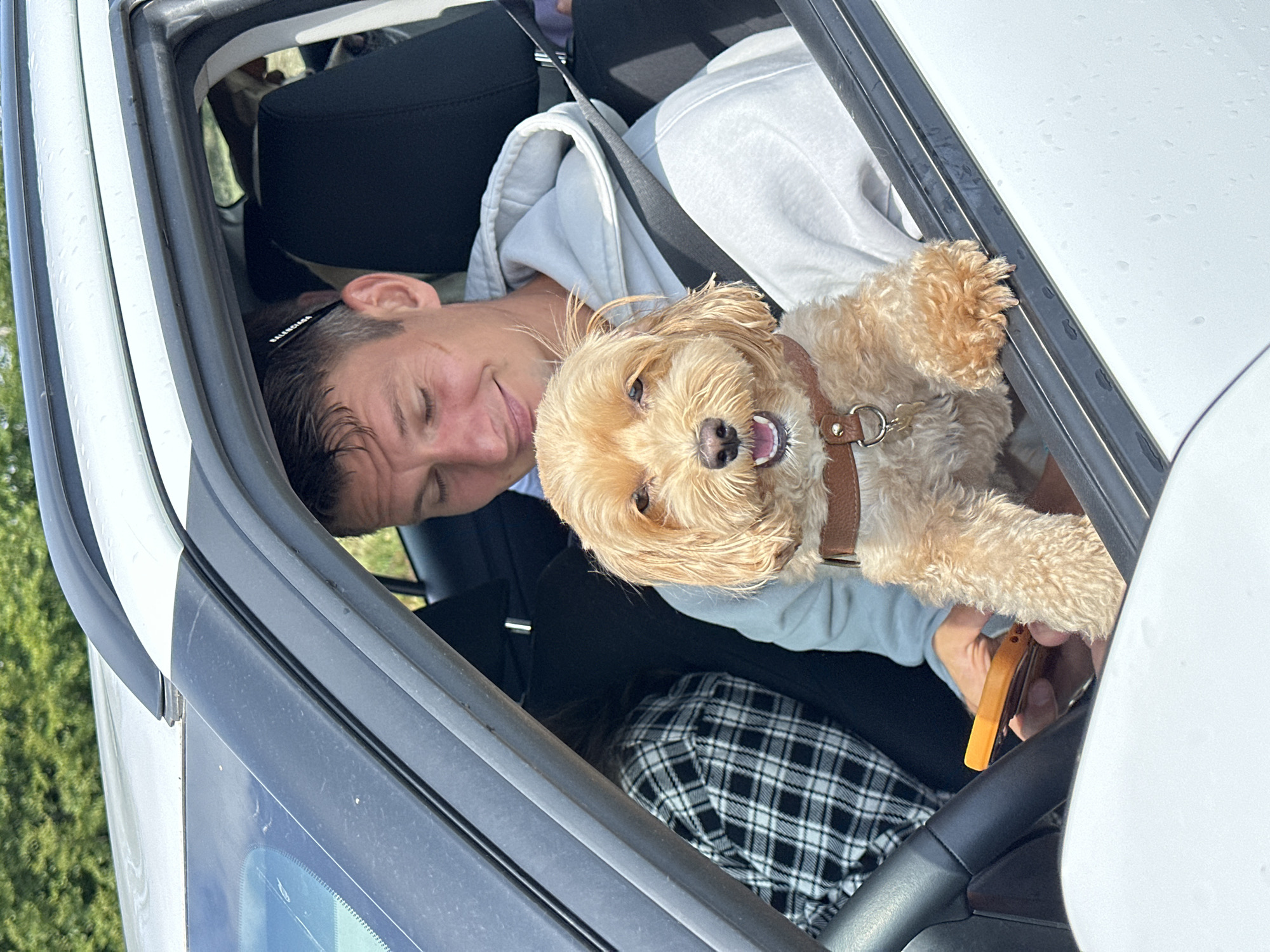 In the city of Katun Vulića, Montenegro, a young man with short brown hair and a light blue hoodie is seated in the driver's seat of a white vehicle. He is looking down with his eyes closed and a slight smile, with a black hair clip with the word "BALENCIAGA" visible behind his right ear. To his right, a small, light brown dog with its front paws resting on the open car window is looking directly at the camera with its mouth open in a happy expression. The dog is wearing a brown collar with a silver D-ring and a small tag. In the background, a person wearing a black and white plaid shirt is partially visible in the passenger seat. The interior of the car is visible, including the steering wheel and a portion of the dashboard. Outside the car, green foliage is visible.