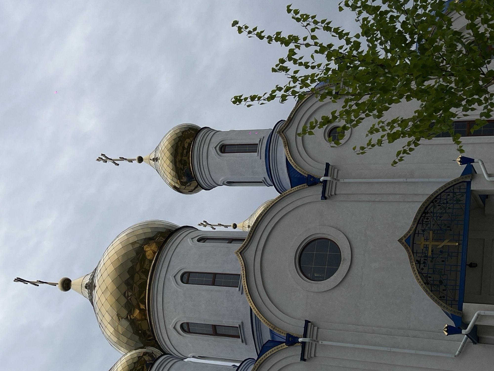 The image presents a low-angle view of an Orthodox church in Novopokrovskaya, Russia, set against an overcast, light gray sky. The church is characterized by its prominent golden onion domes, each topped with a dark Orthodox cross. The domes feature a distinct faceted or tiled texture that gleams under the light. The main body of the church building is rendered in white or light gray, contrasted by striking blue accent colors and intricate gold trim that outlines its architectural features, including decorative arches and window frames.
Windows vary in shape, comprising tall, arched rectangular panes and smaller, circular oculi. Green foliage from a tree, with numerous small leaves, extends into the frame from the right side, partially obscuring the upper section of the church. The scene depicts daytime under cloudy weather conditions. A small, faint pink object, possibly a distant balloon, is visible in the upper left portion of the sky. No people are present, and no text is visible within the image. The photograph highlights the detailed and traditional aesthetics of the religious architecture.