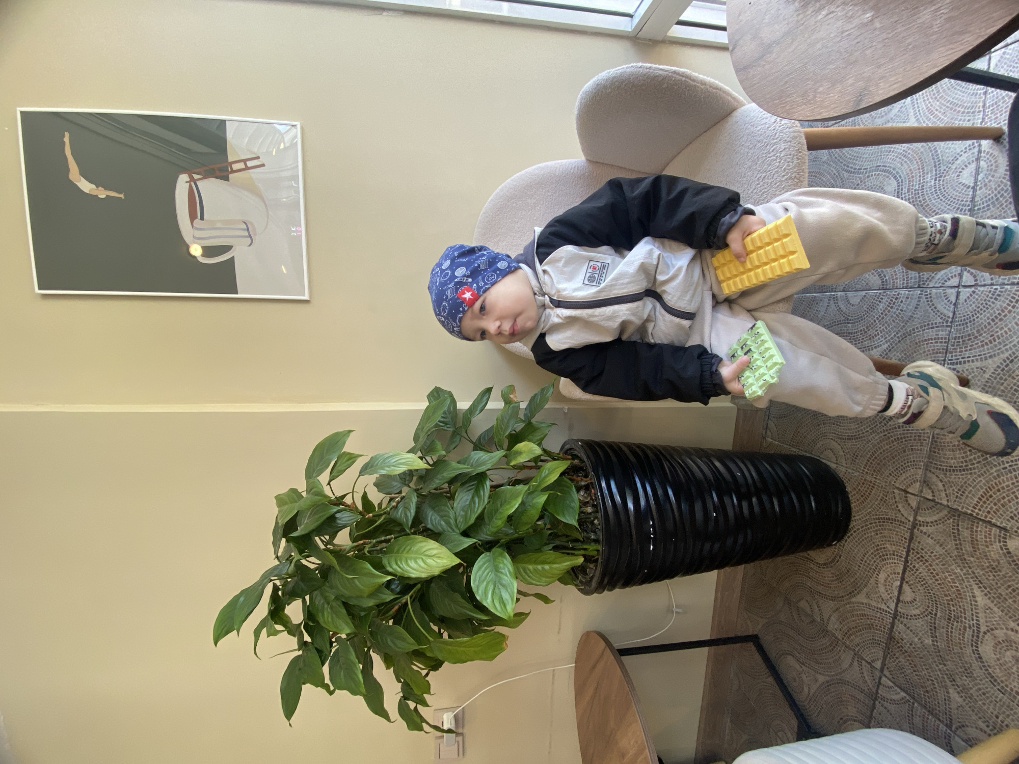 This media file captures an indoor scene featuring a young child, a large potted plant, and a framed artwork, set in what appears to be a cafe or lounge in Sochi, Russia.
The central subject is a young child, seated in a light beige, textured armchair. They are dressed in a black and white hooded jacket, light-colored sweatpants, and distinctive sneakers worn with colorful, patterned socks. A blue bandana, patterned with white symbols and a prominent red star, is tied around their head. The child is holding two rectangular, ridged toys—one bright yellow and one light green—and appears calmly focused on playing with them.
To the left of the child, a tall, black ribbed pot contains a lush, leafy green plant, possibly a Spathiphyllum. Above and behind the child, a framed picture hangs on a light beige wall. The artwork humorously depicts a person diving towards a large coffee cup, with a small ladder leaning against the cup. The background of the artwork is divided into dark greenish-gray and lighter sections. The floor beneath is covered in an intricate, circular mosaic tile pattern in shades of brown and beige. Portions of wooden tables and other seating are also visible, contributing to the cafe-like ambiance.
The scene is brightly illuminated by natural light, suggesting it is daytime. The overall atmosphere appears calm and relaxed. No explicit text is clearly legible on the wall art or within the environment, apart from the small symbols and the red star on the child's bandana.