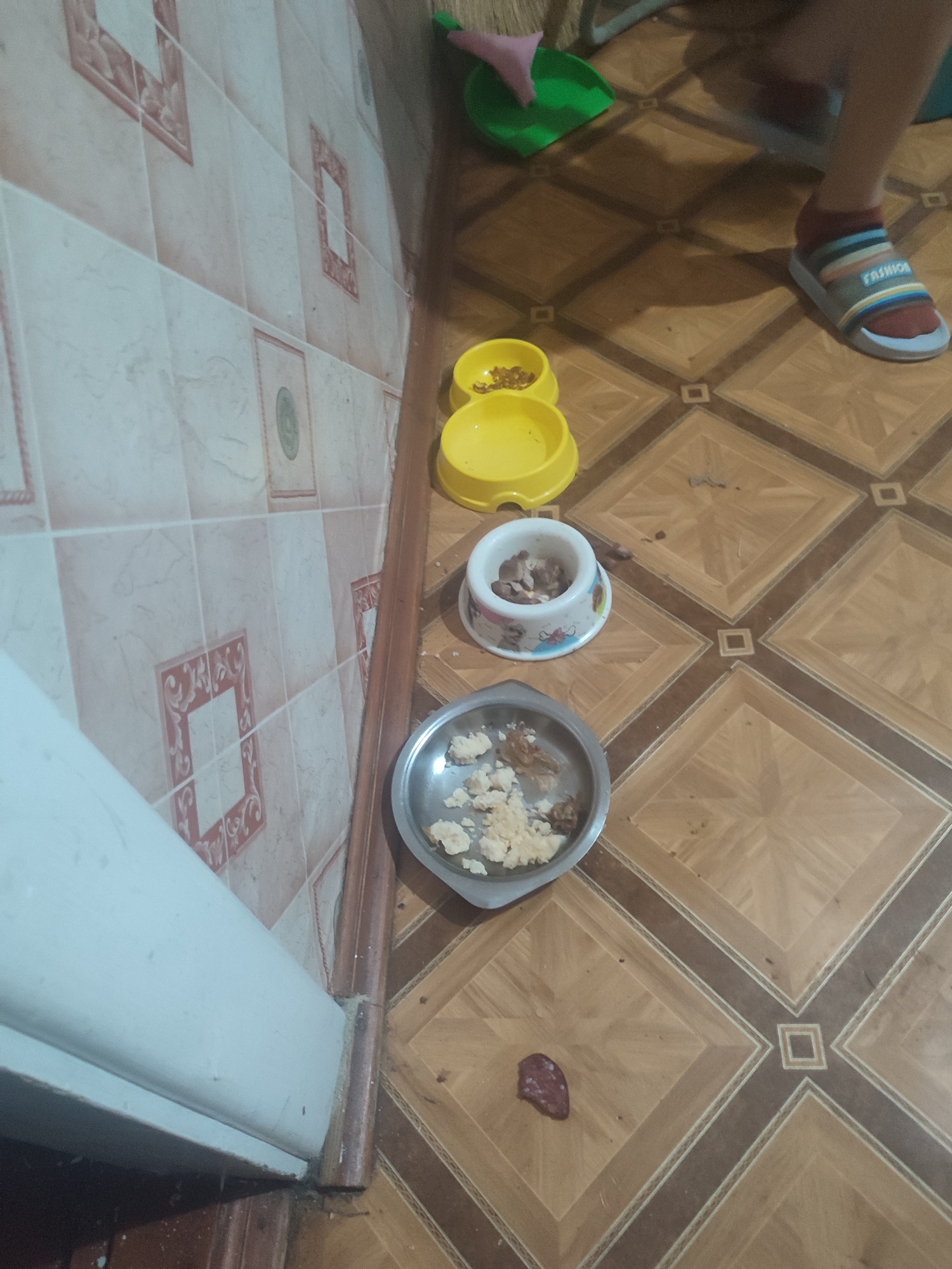 The image captures an indoor scene with a tiled wall and a patterned floor. Several pet food bowls are present, two of which are yellow and empty, while one is white with colorful patterns and contains a small amount of food. A silver bowl on the floor also holds food. A sliver of meat is visible on the floor near the bowls. A person's foot, wearing a sock and a striped sandal, is visible on the right side of the frame. In the background, a green dustpan and a pink object (possibly part of a broom) are visible. The overall impression is that of a domestic setting where pets are fed. There is no information to determine the location in Chernivtsi, Ukraine, or any specific forensic details beyond the visual elements present.